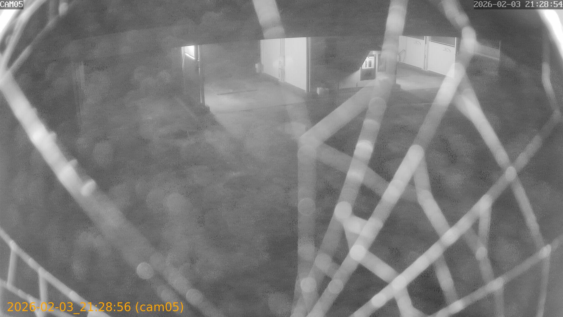 thumbnail_20260203212855