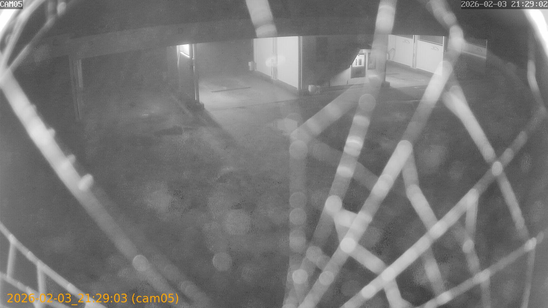 thumbnail_20260203212903