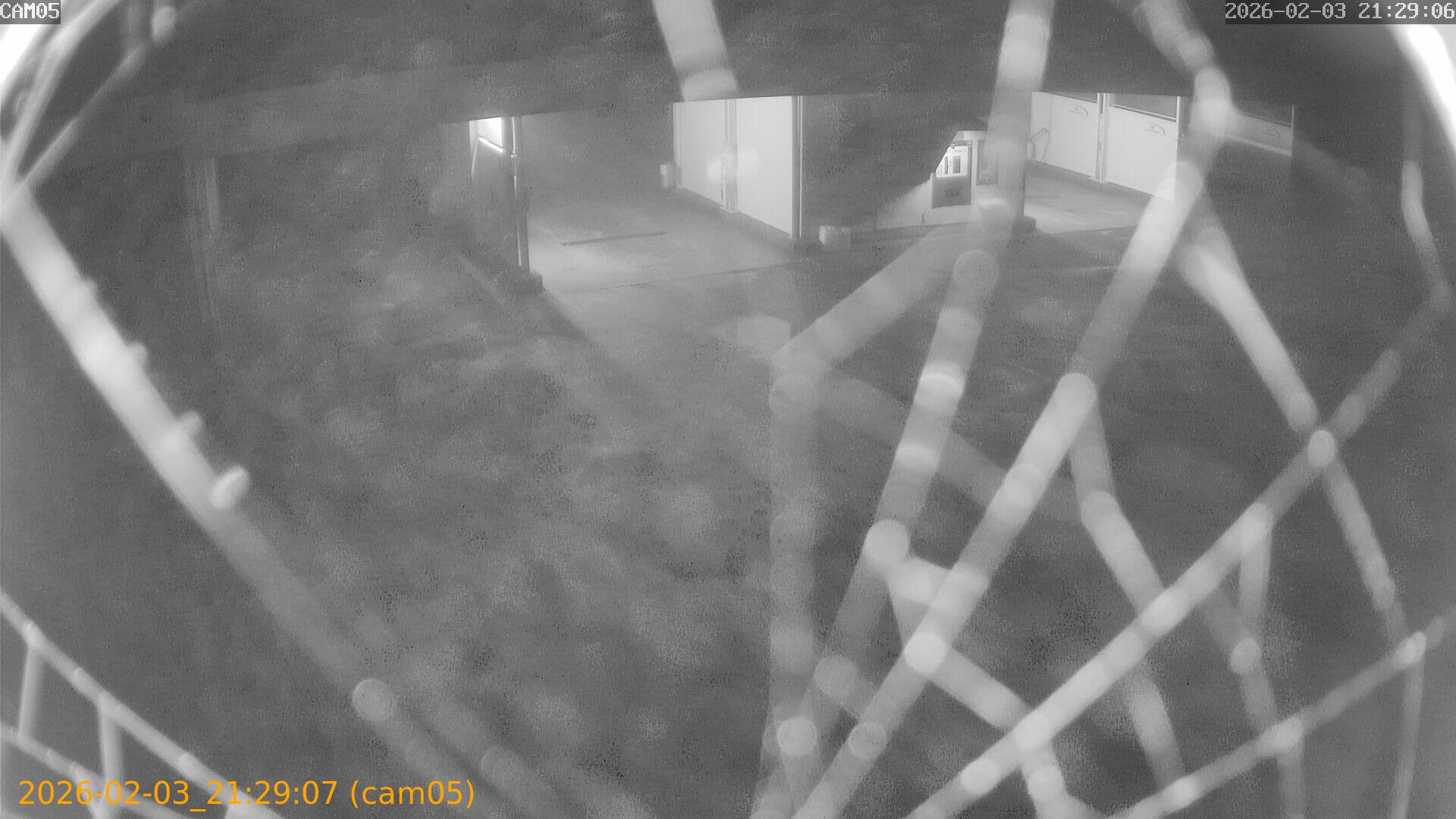 thumbnail_20260203212907