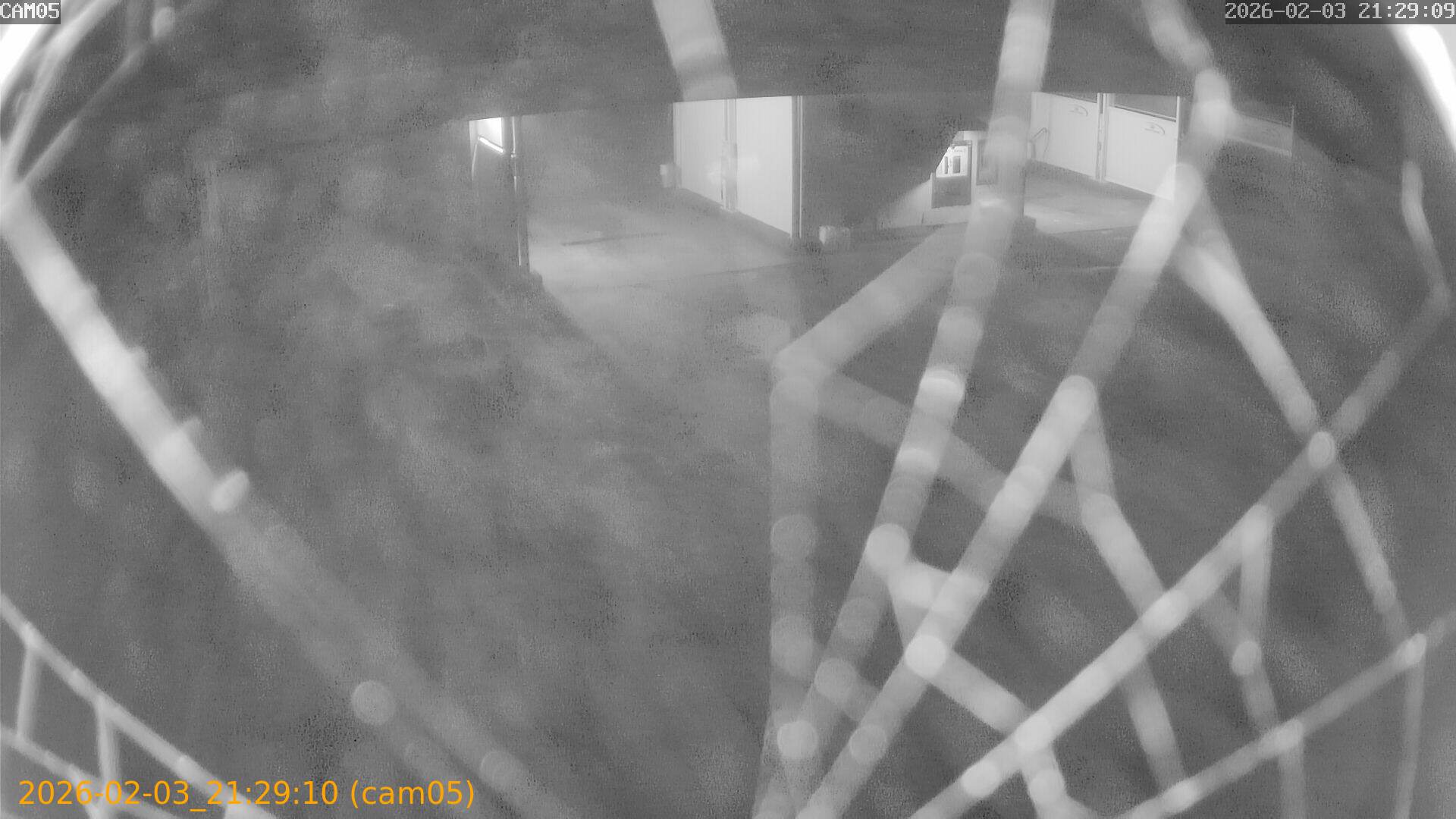 thumbnail_20260203212910