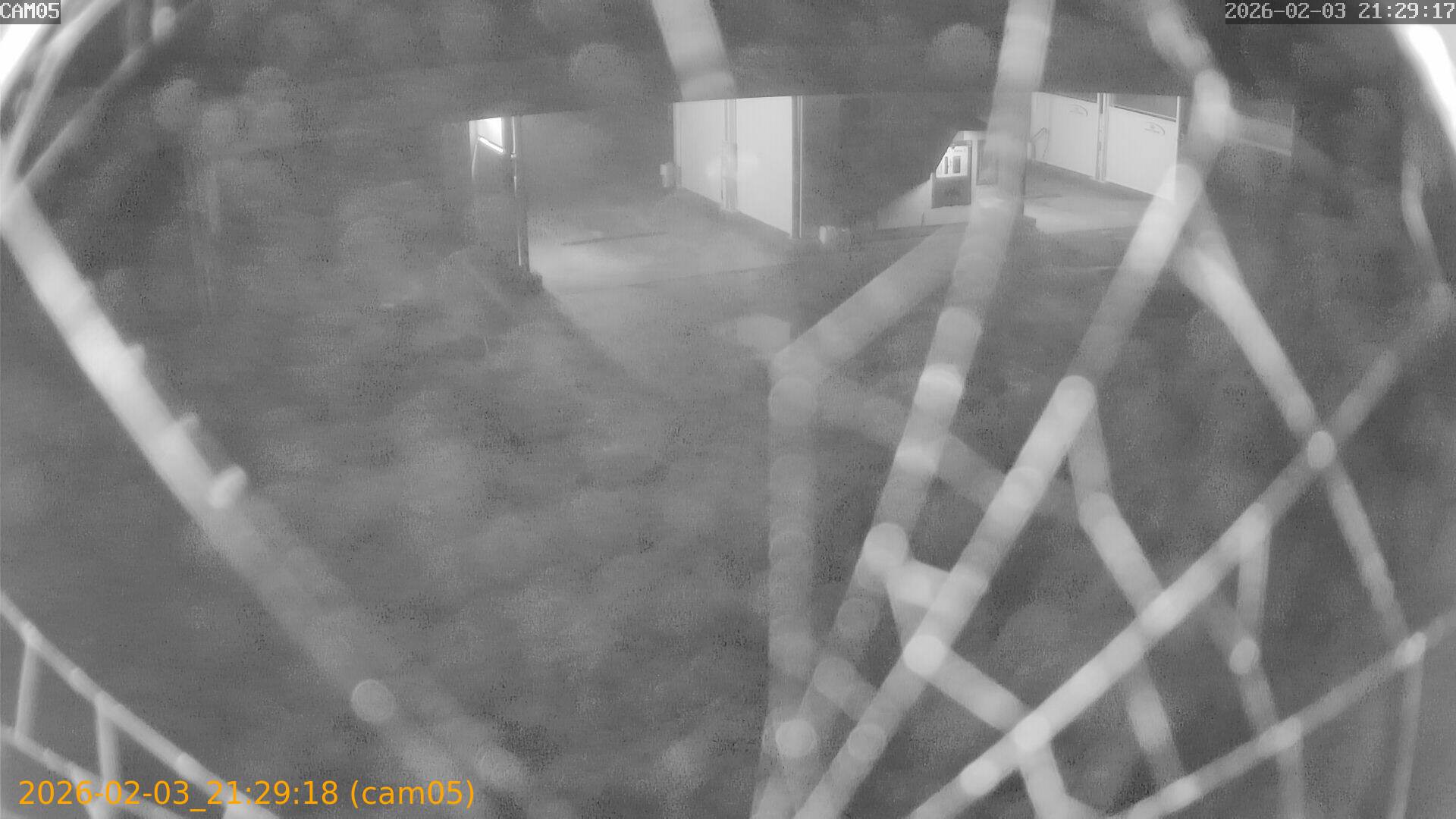 thumbnail_20260203212918