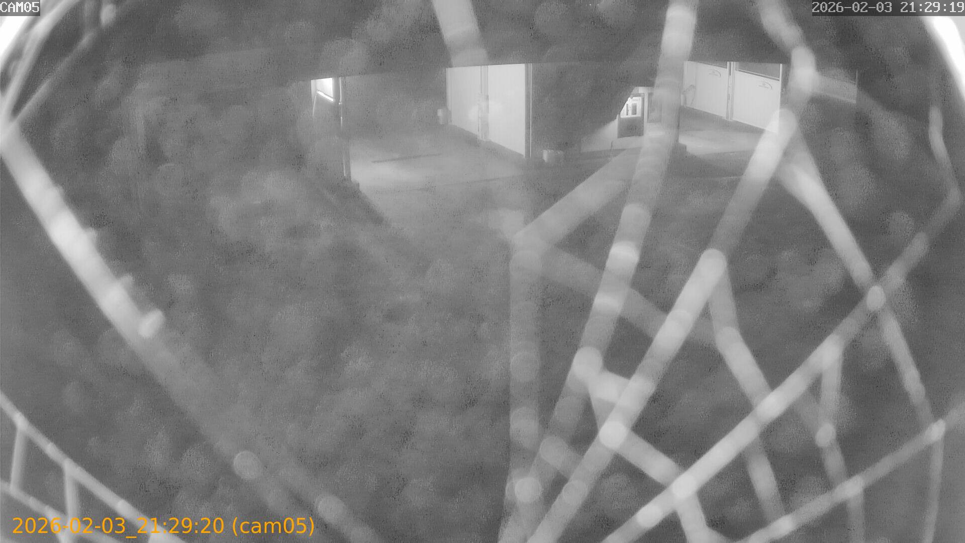 thumbnail_20260203212920