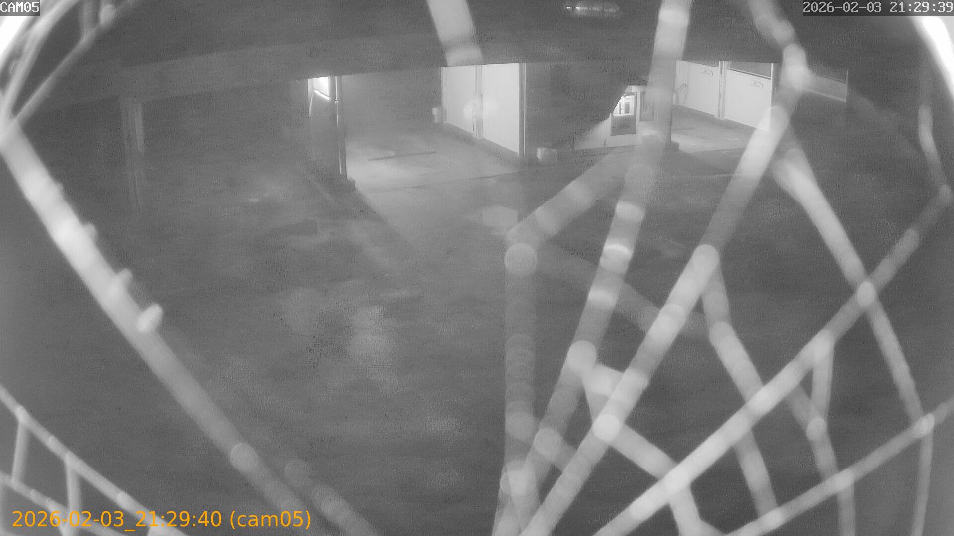 thumbnail_20260203212940