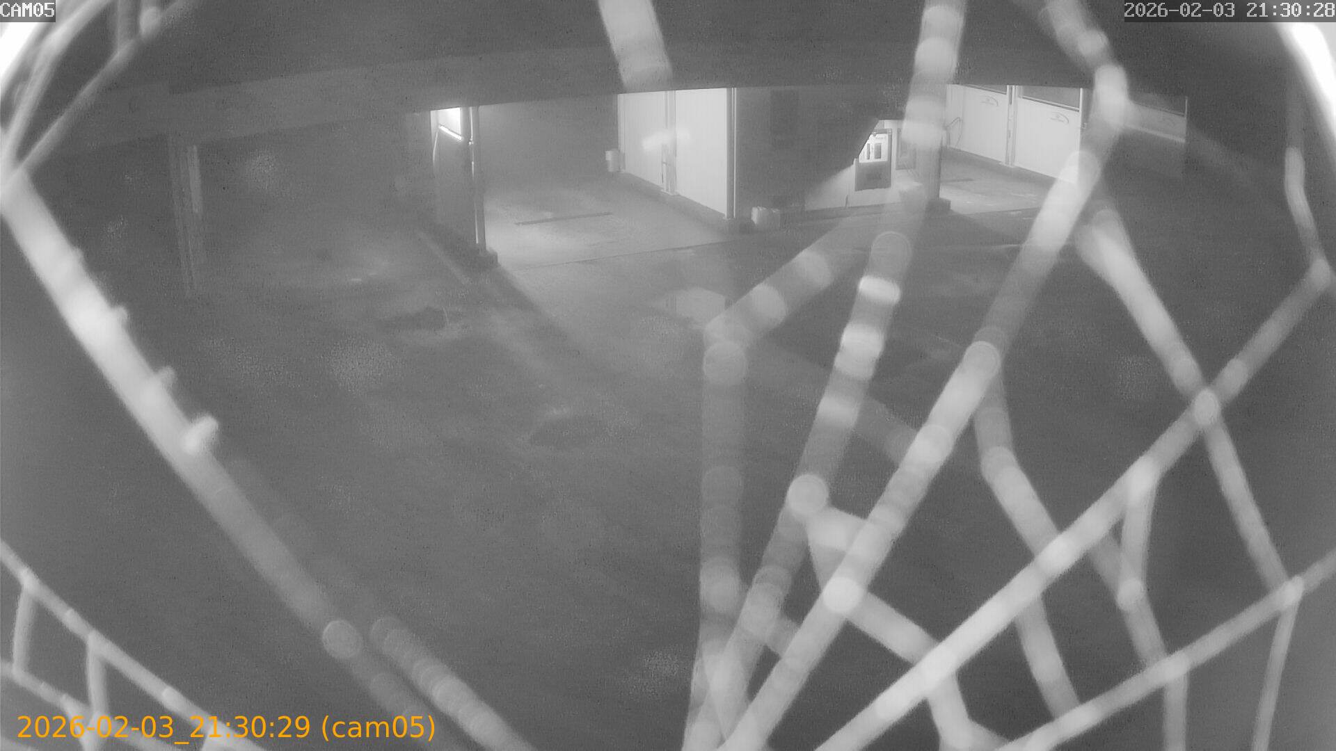 thumbnail_20260203213029