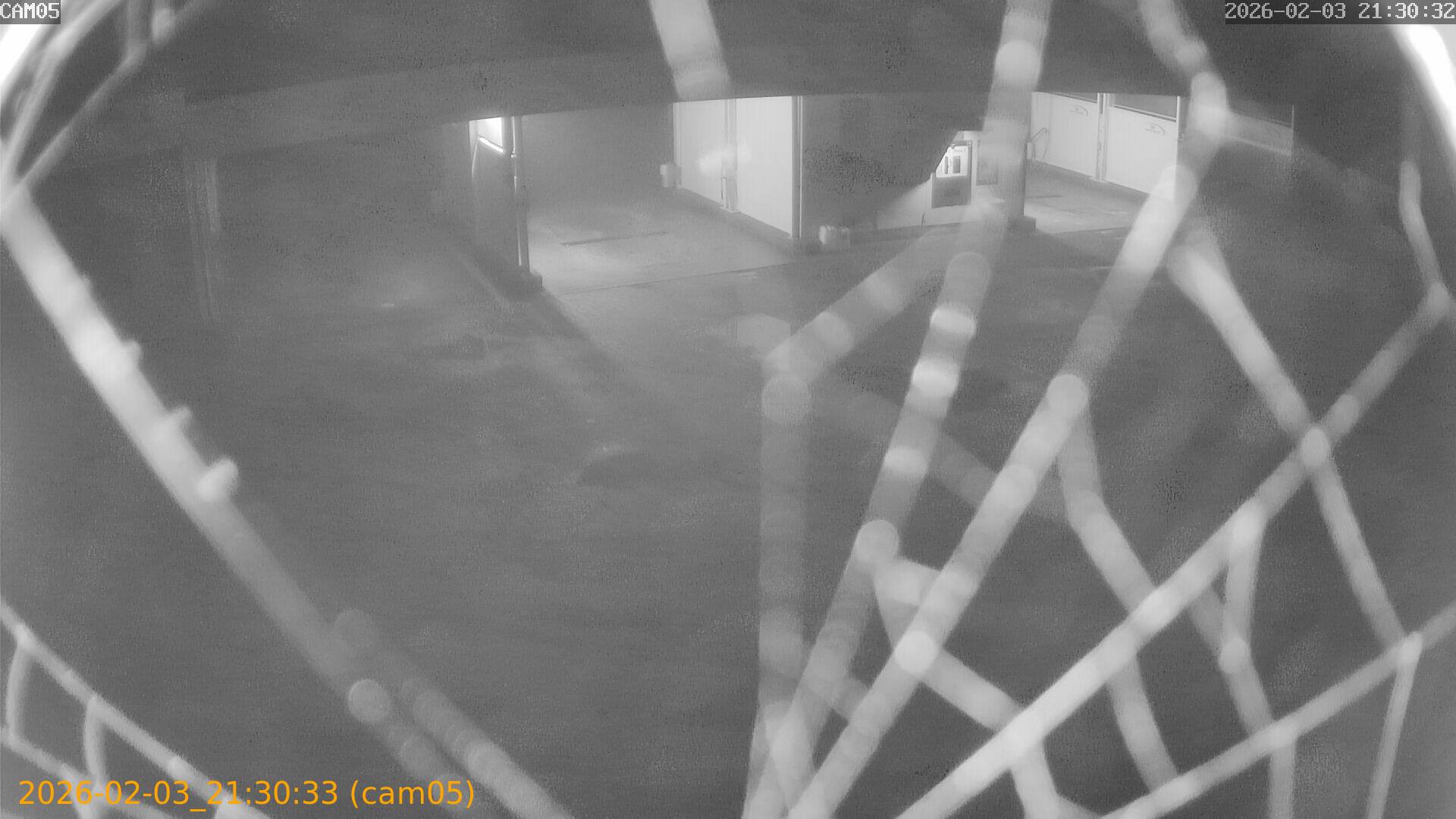 thumbnail_20260203213033