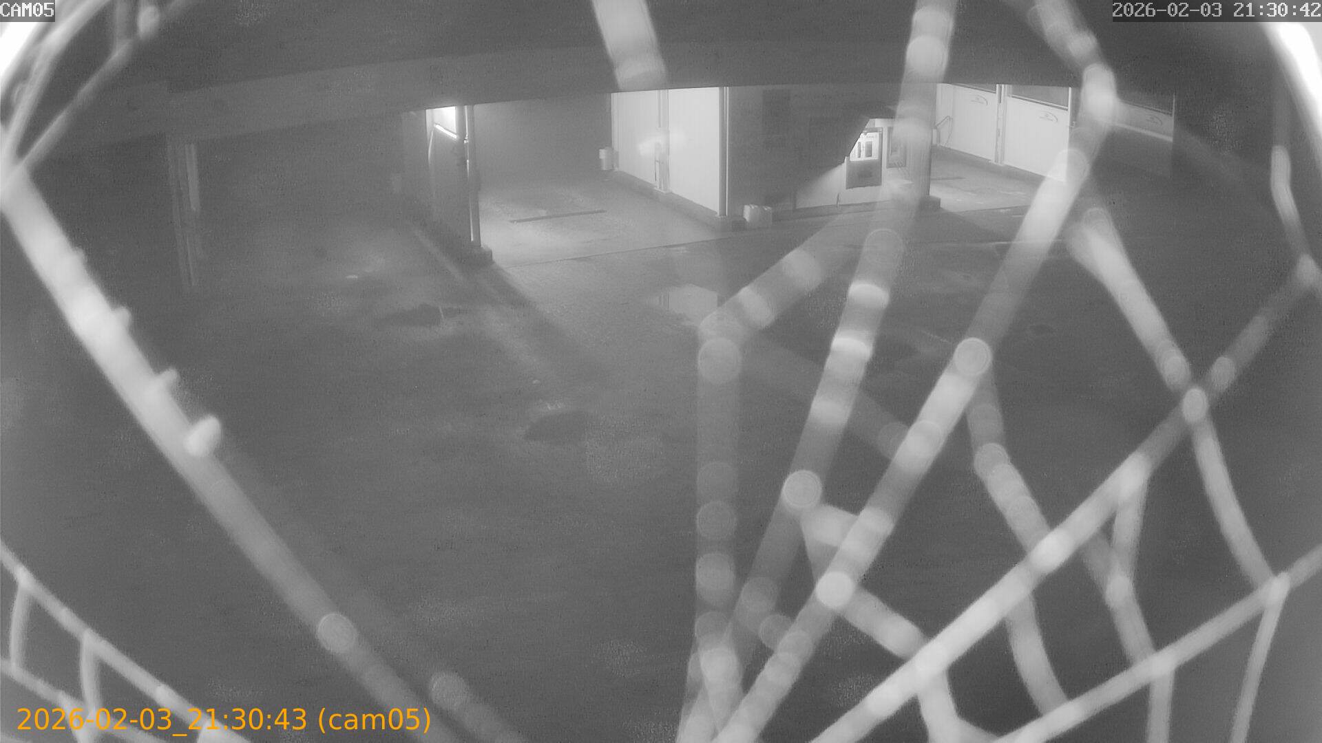 thumbnail_20260203213043