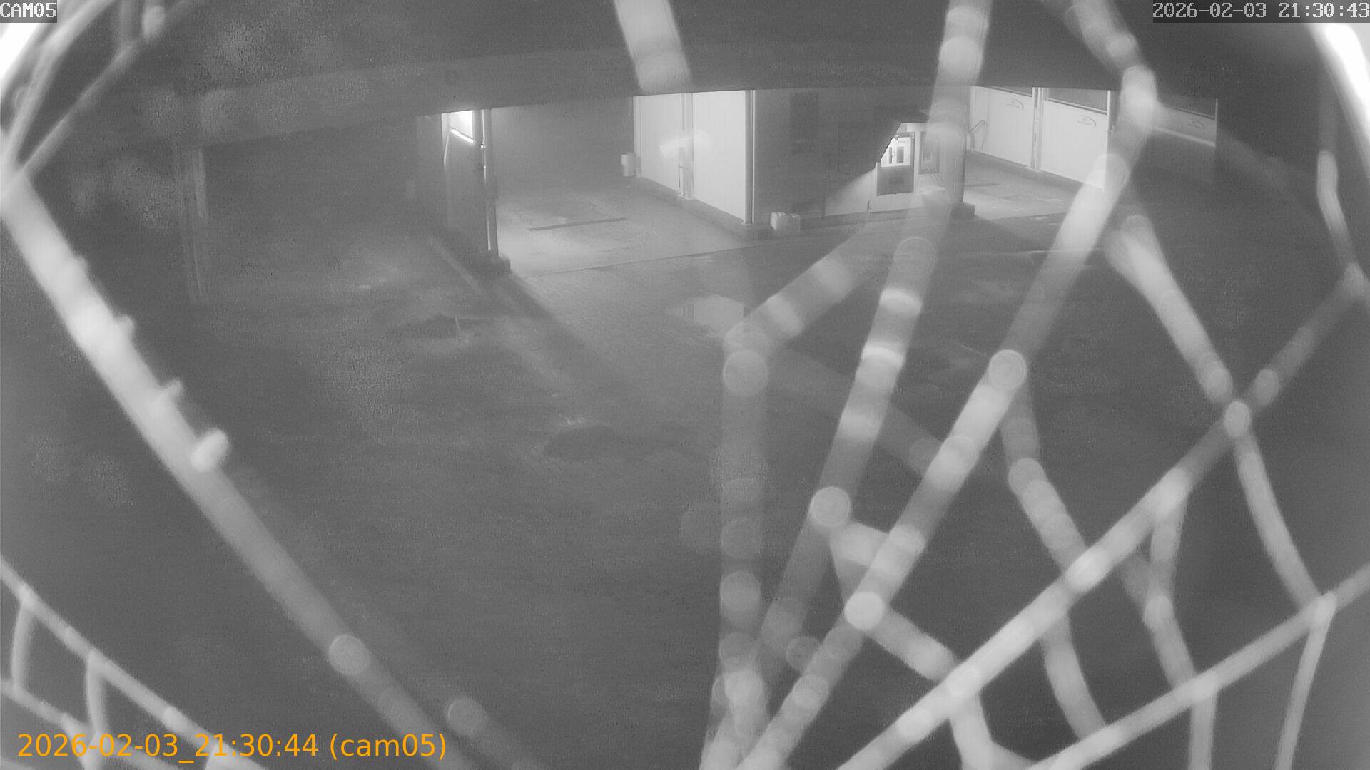 thumbnail_20260203213044