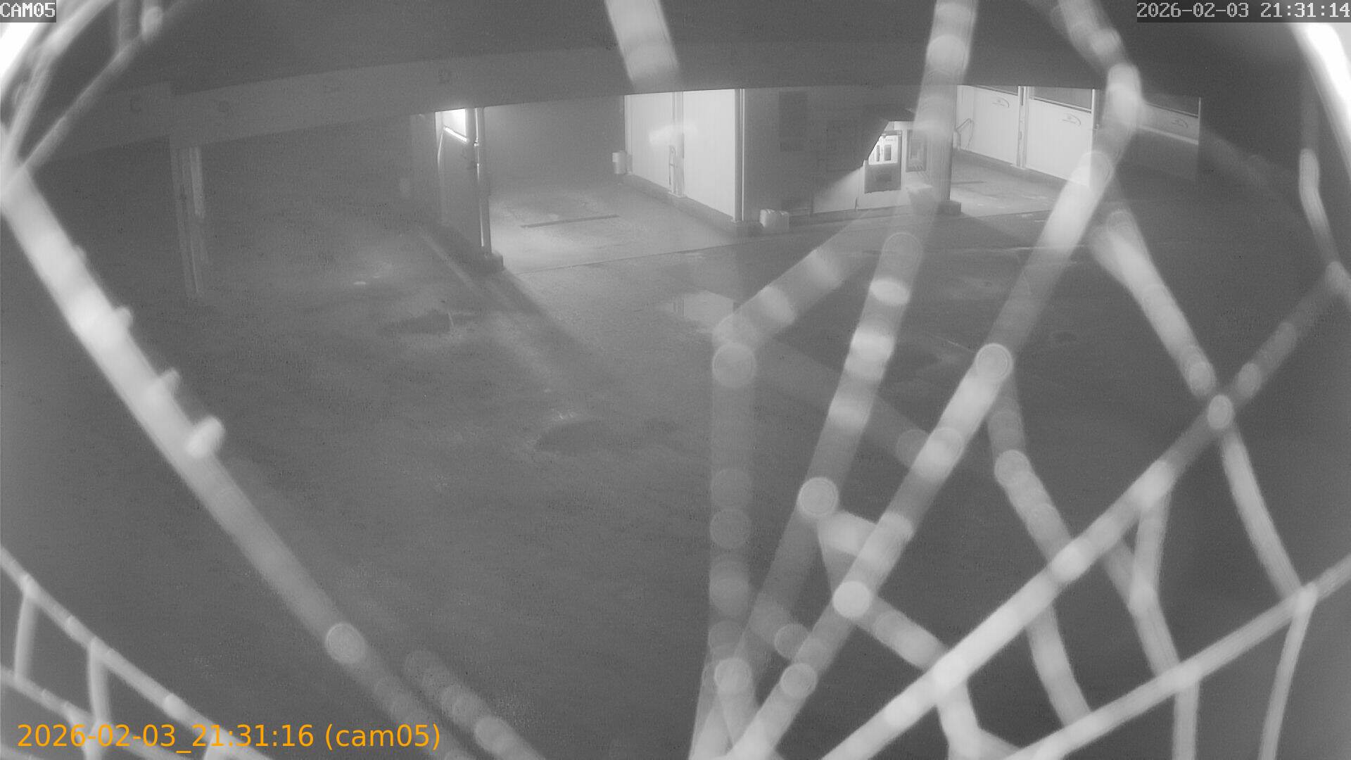 thumbnail_20260203213116