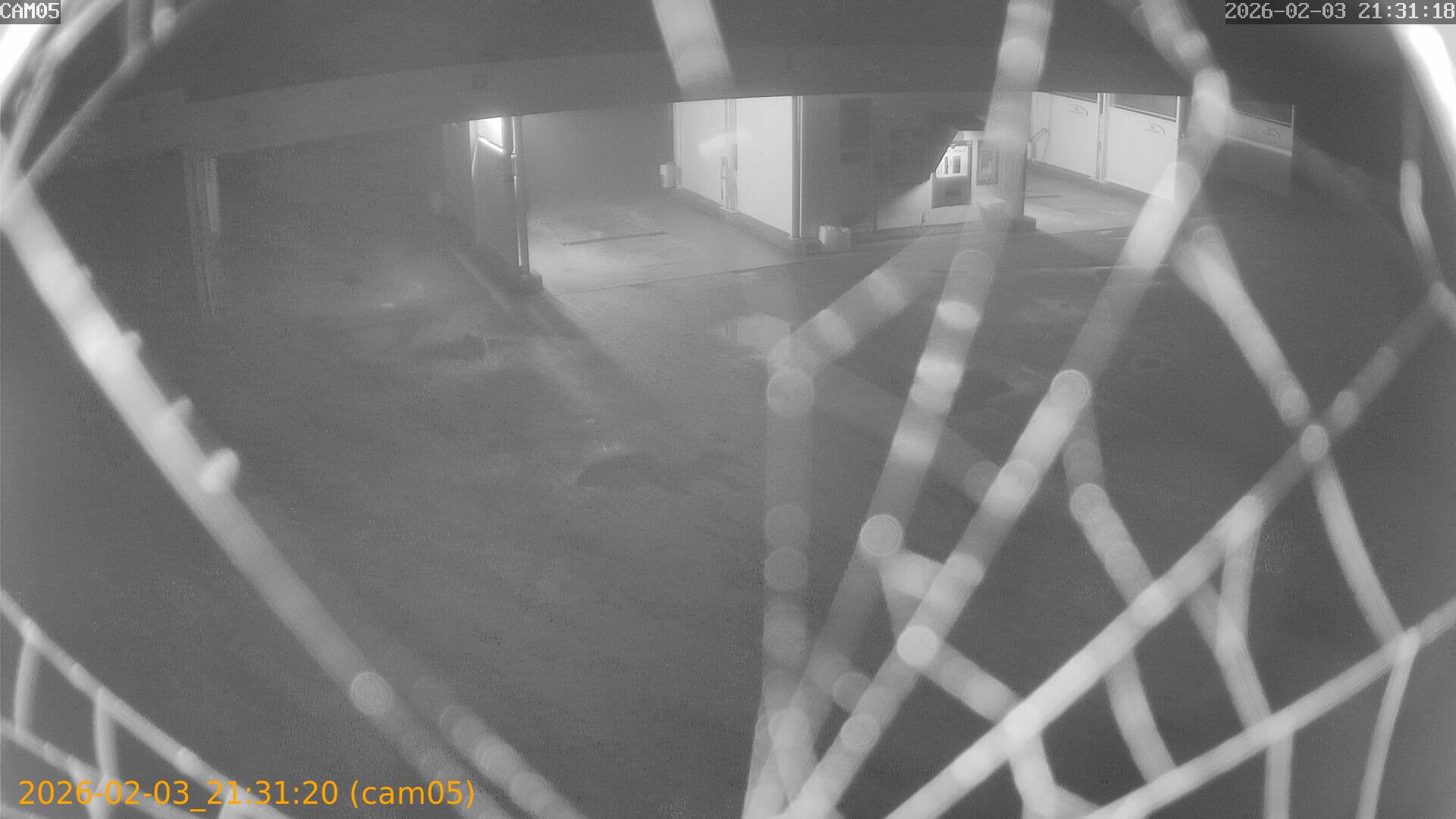 thumbnail_20260203213120