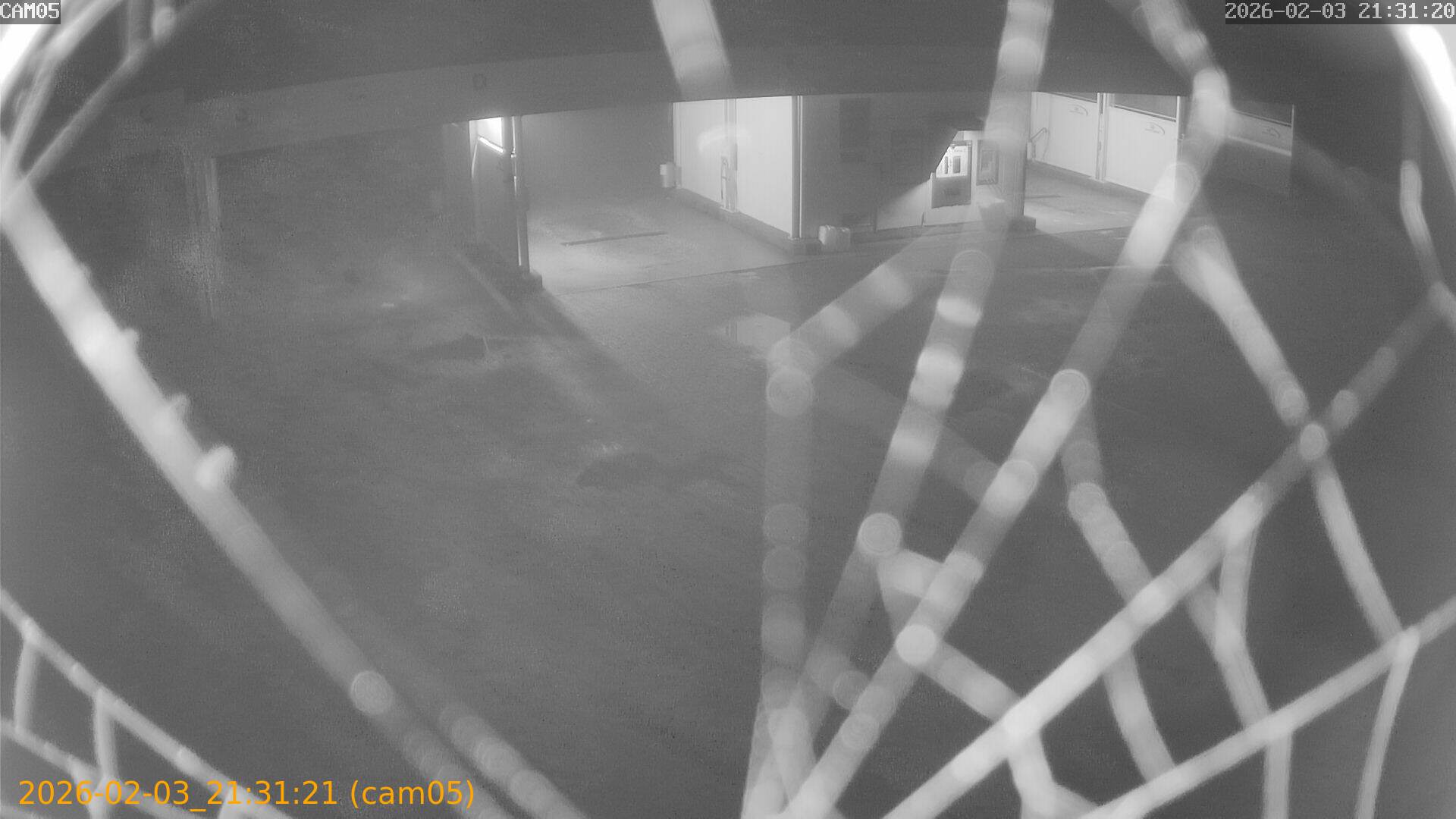 thumbnail_20260203213121