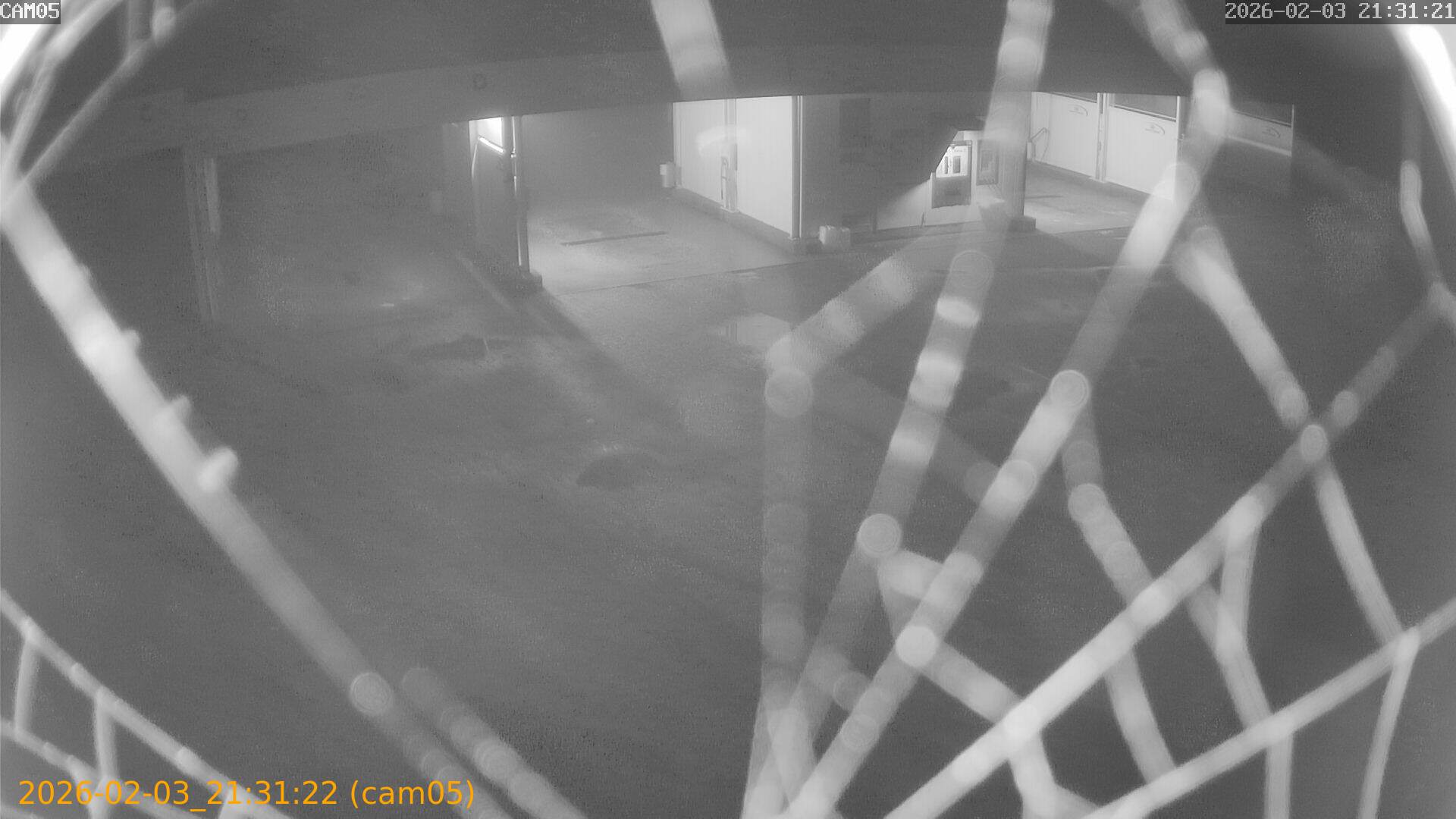 thumbnail_20260203213122