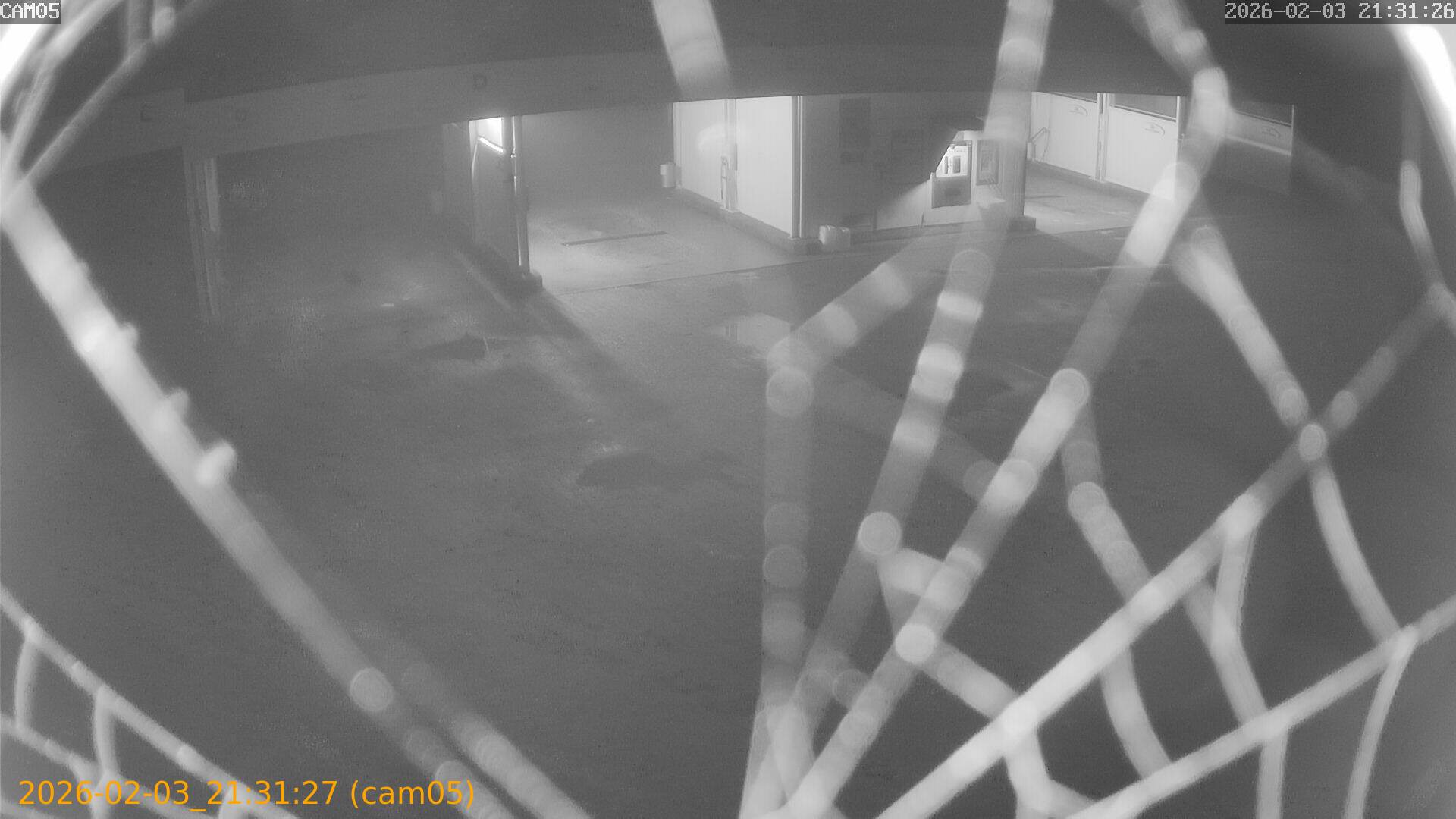 thumbnail_20260203213127