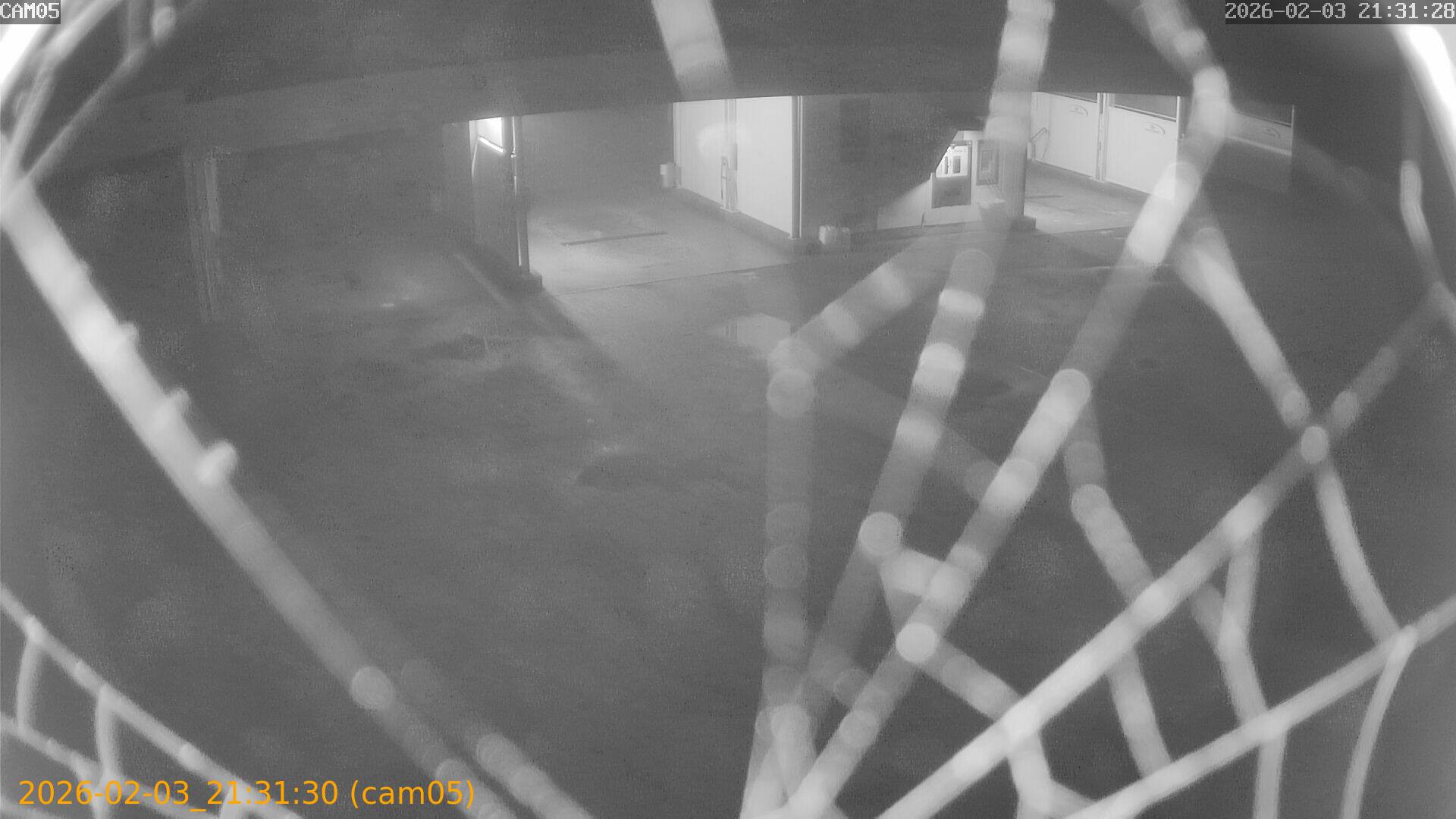 thumbnail_20260203213130