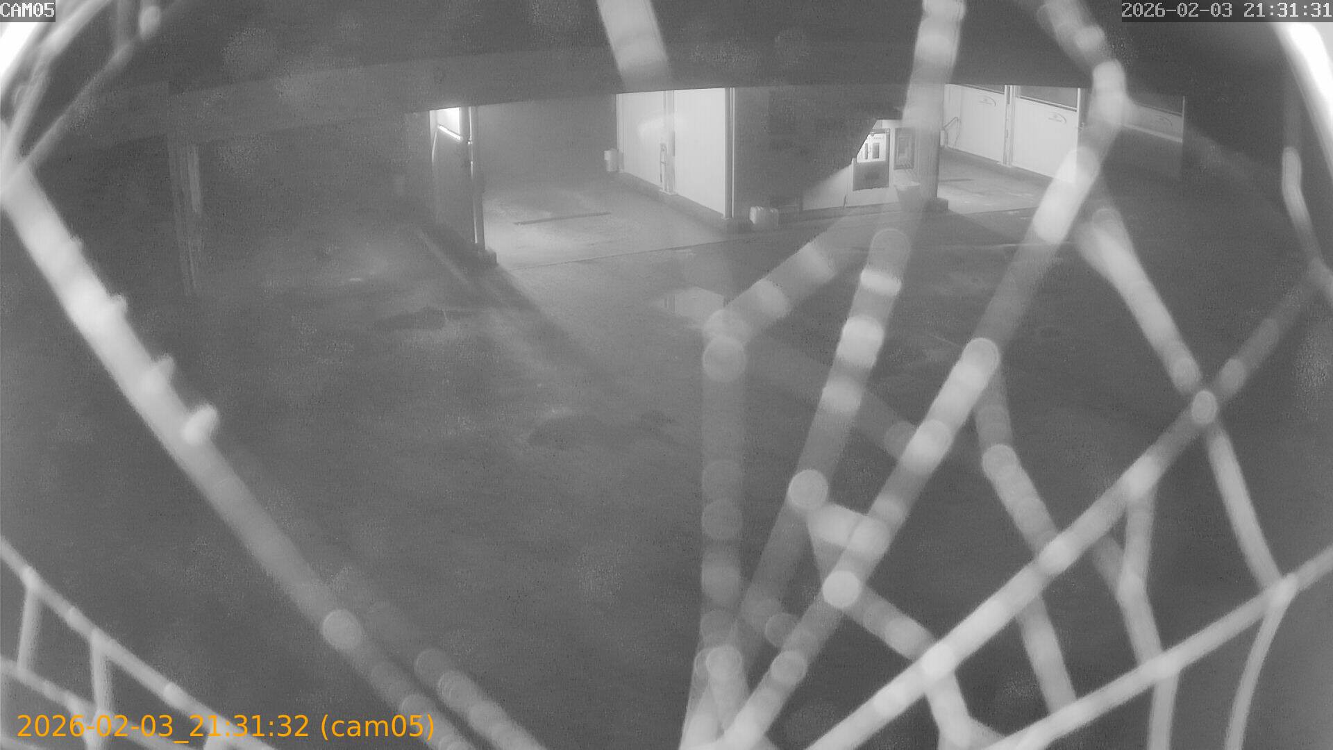 thumbnail_20260203213132