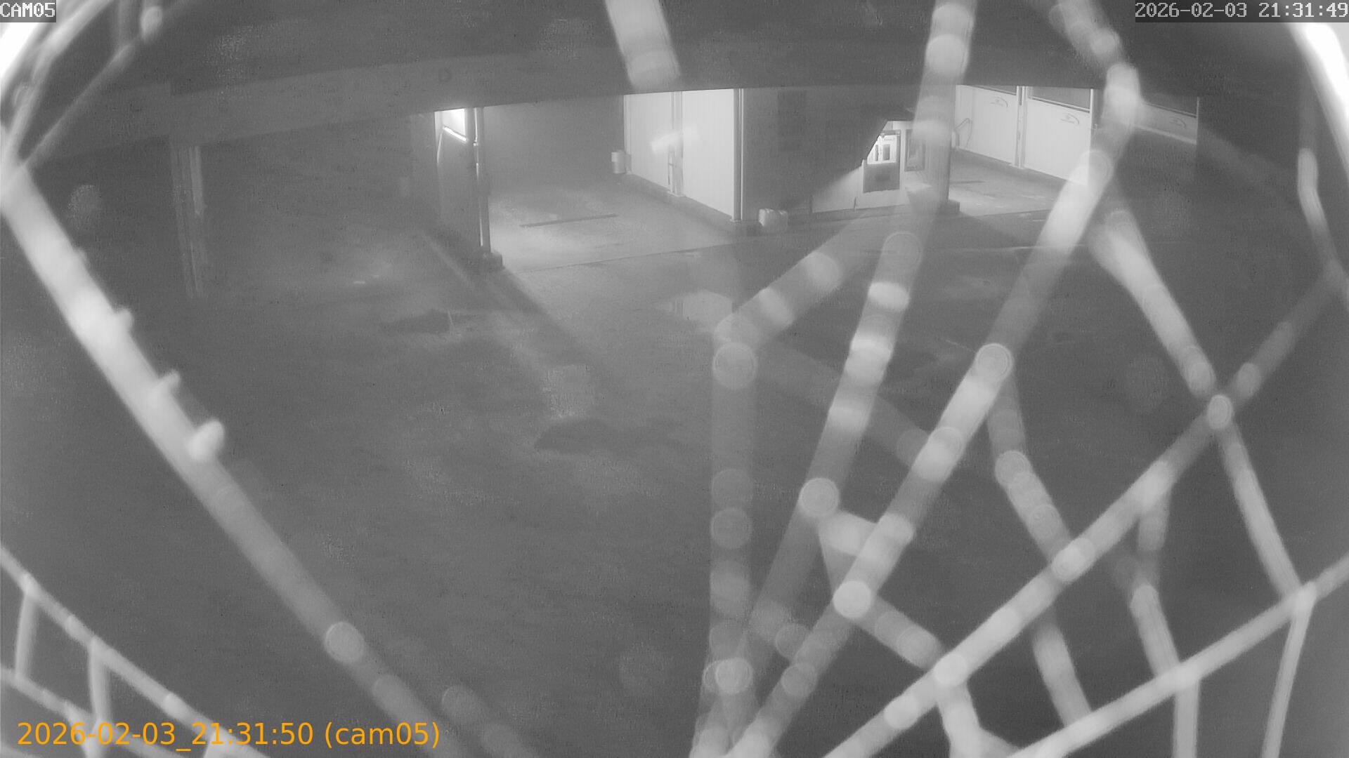 thumbnail_20260203213150