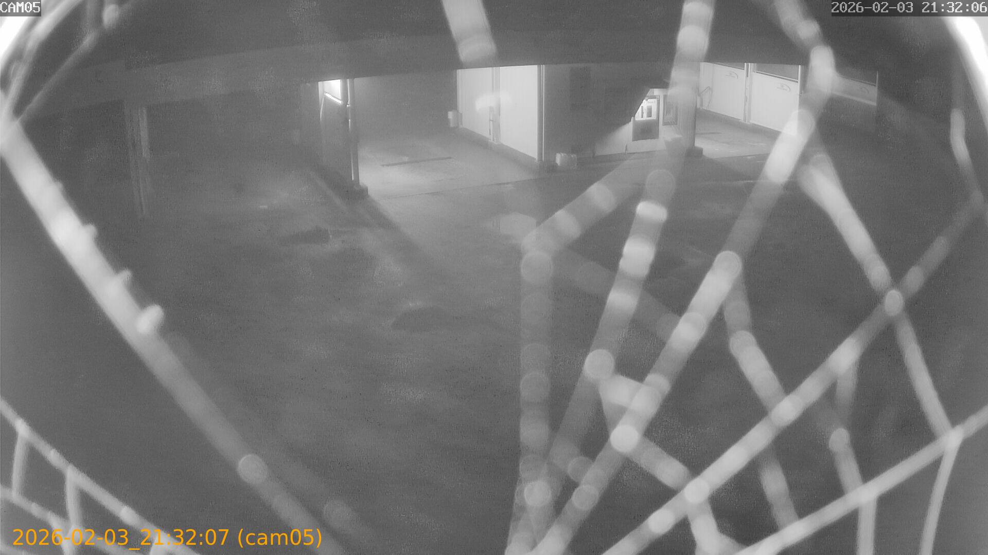 thumbnail_20260203213207