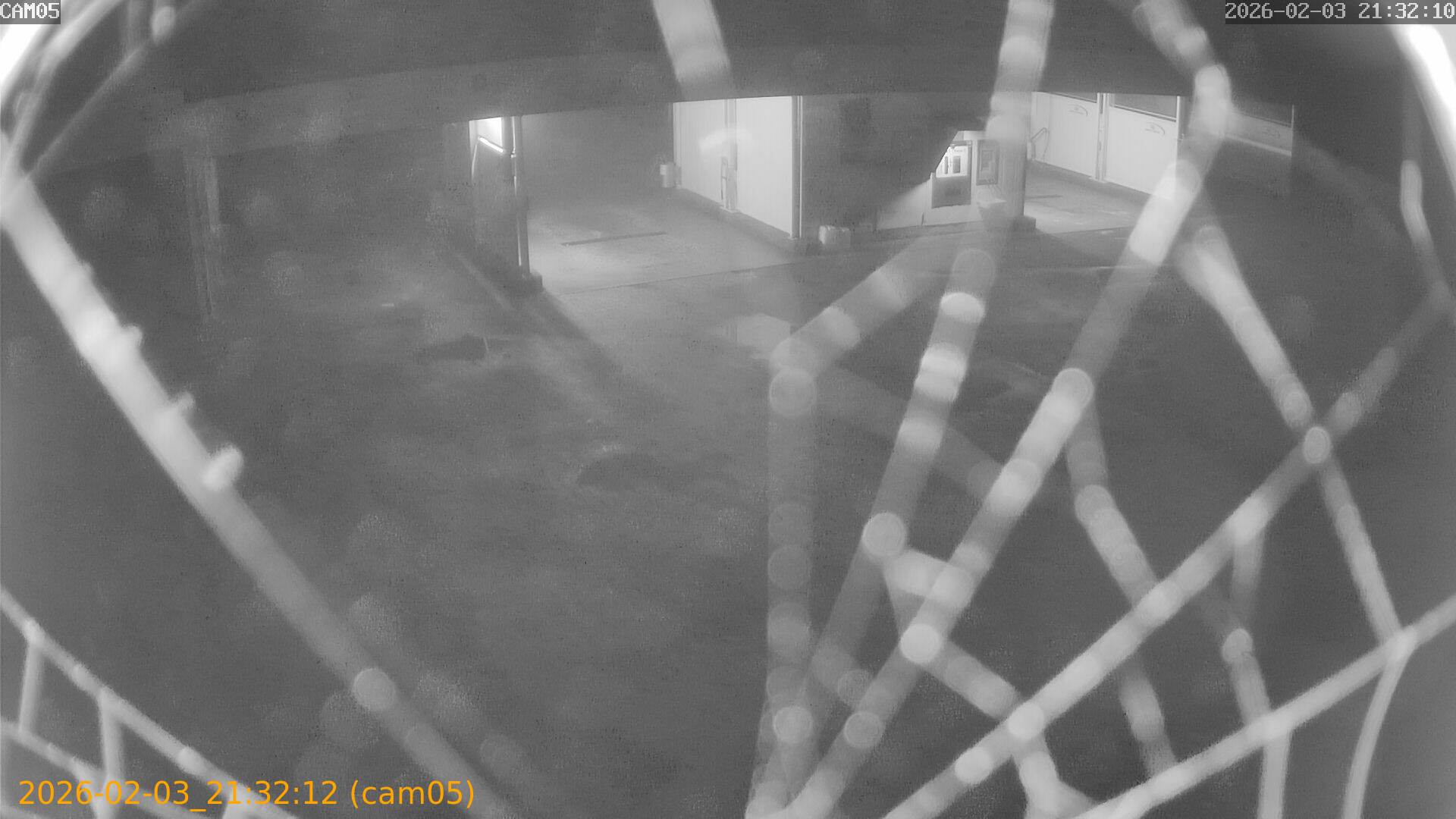 thumbnail_20260203213212