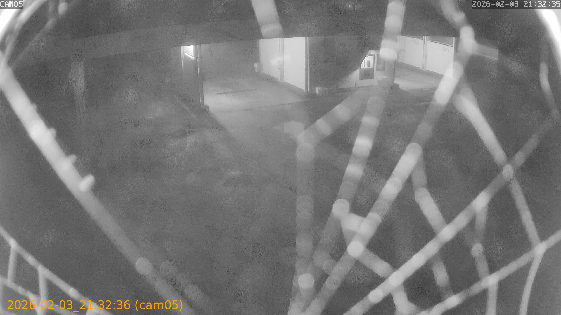 thumbnail_20260203213236