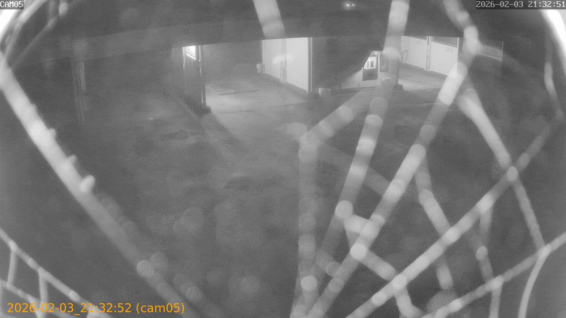 thumbnail_20260203213252