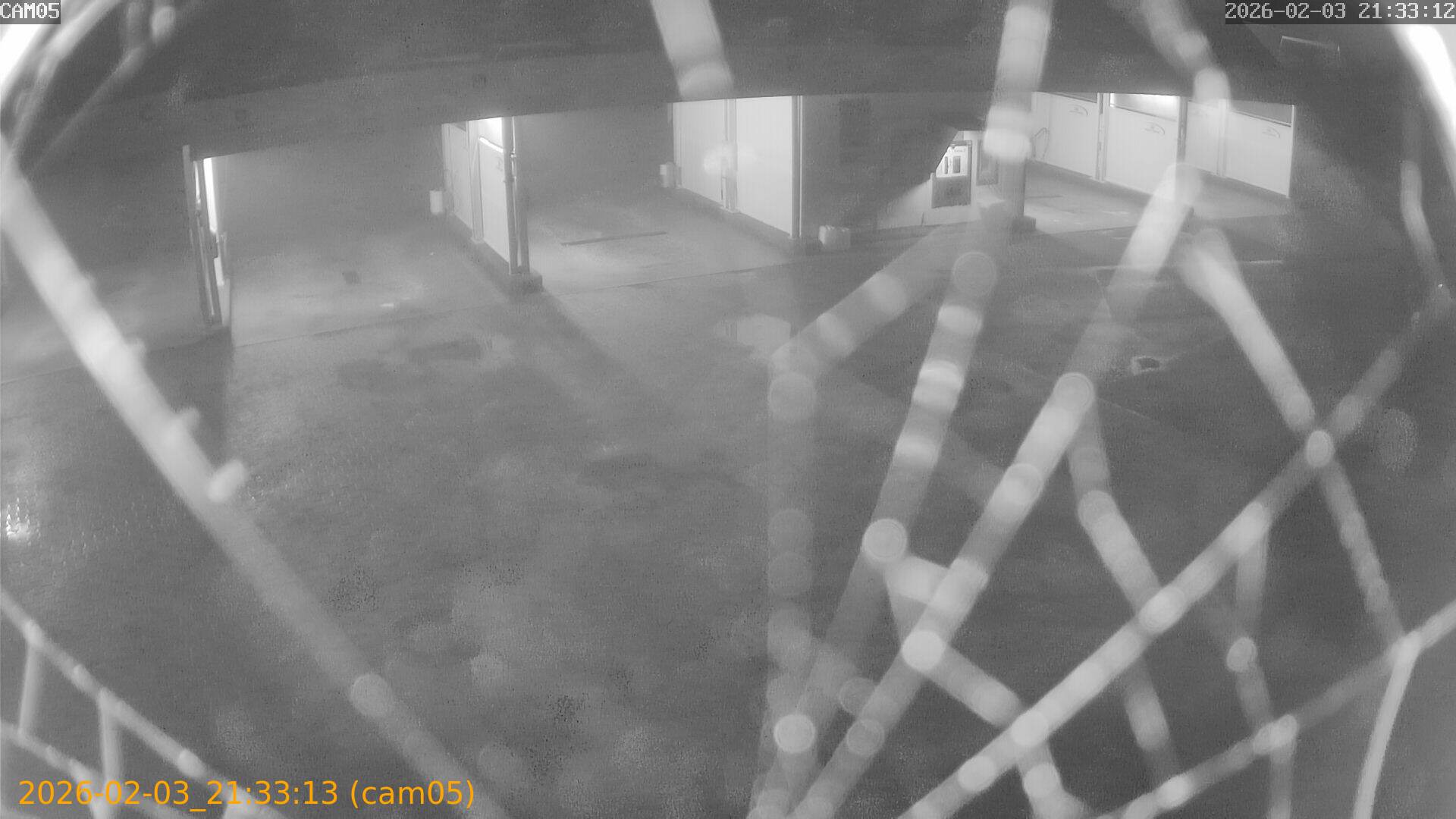 thumbnail_20260203213313