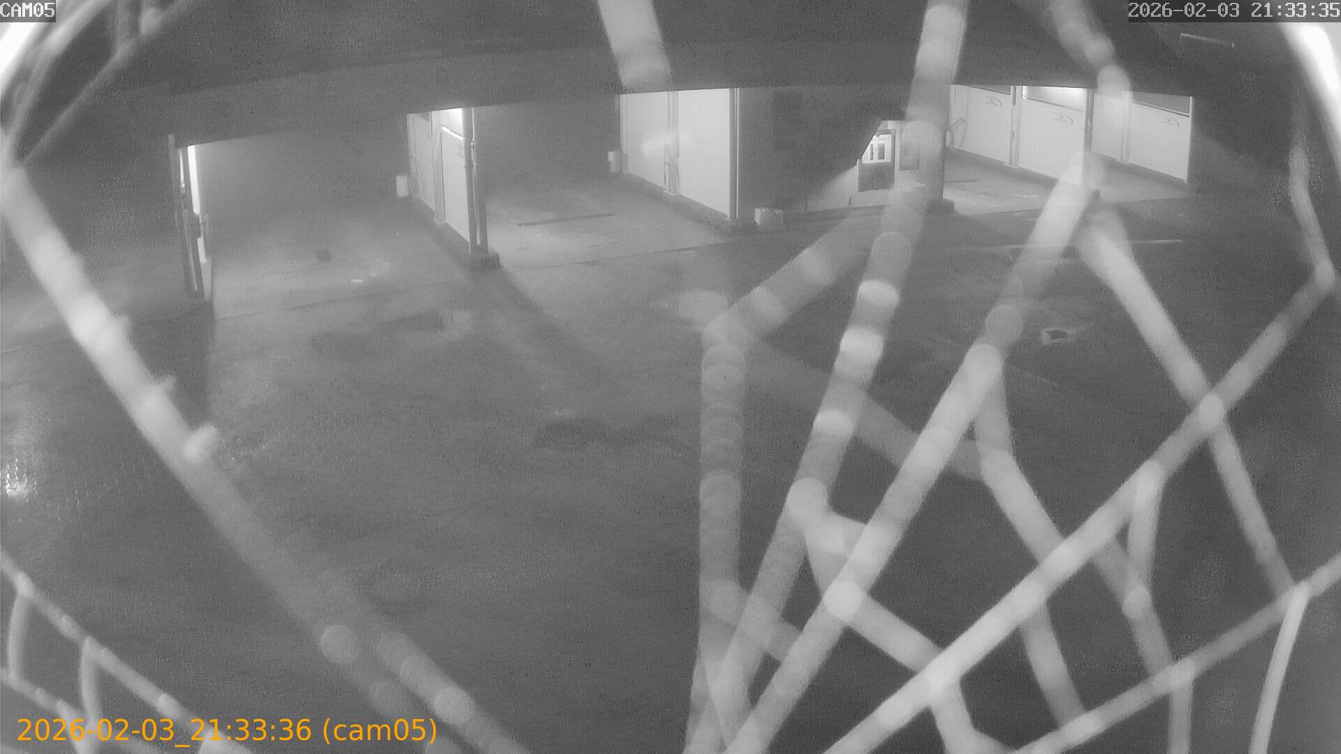 thumbnail_20260203213336