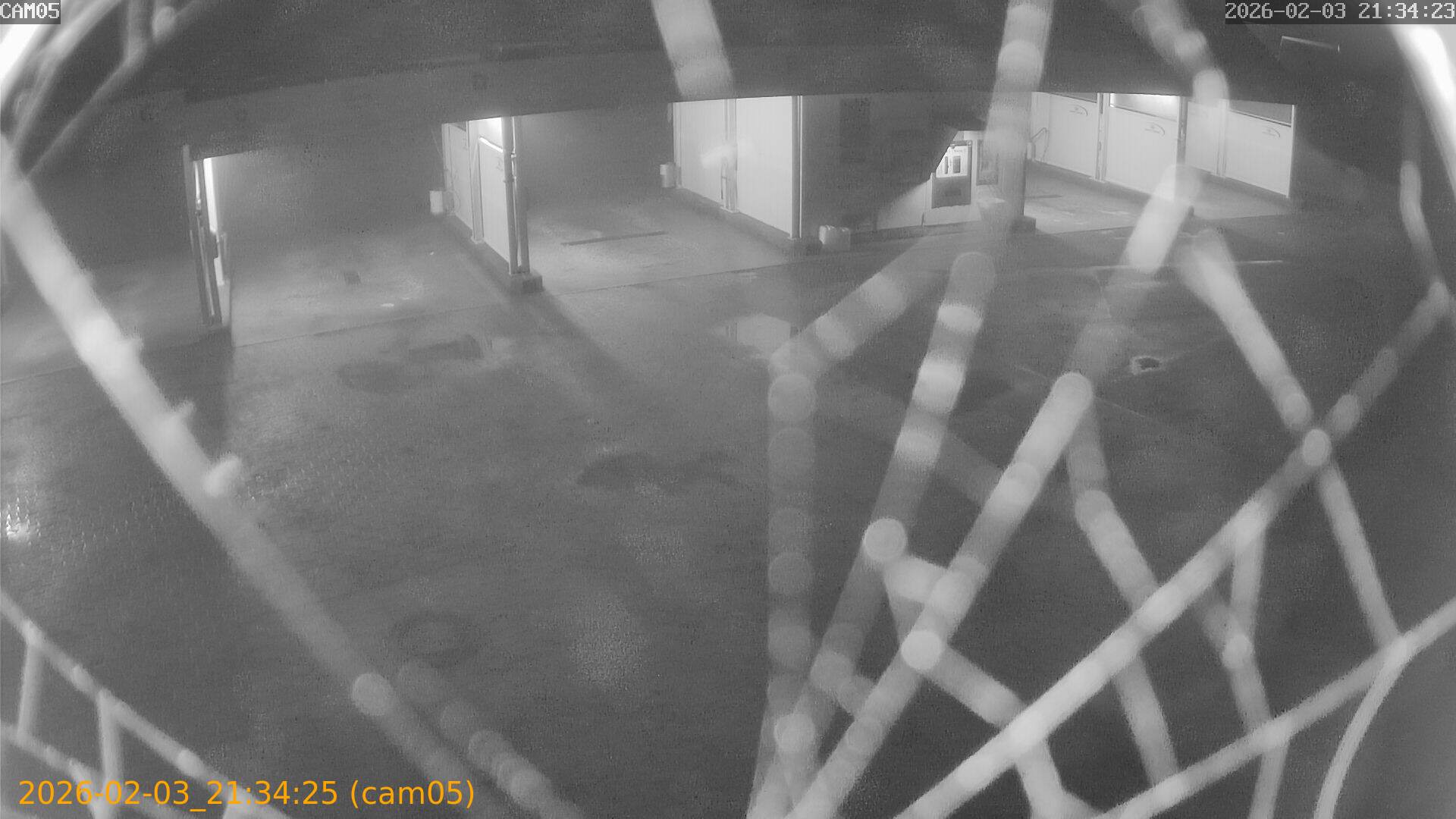 thumbnail_20260203213425