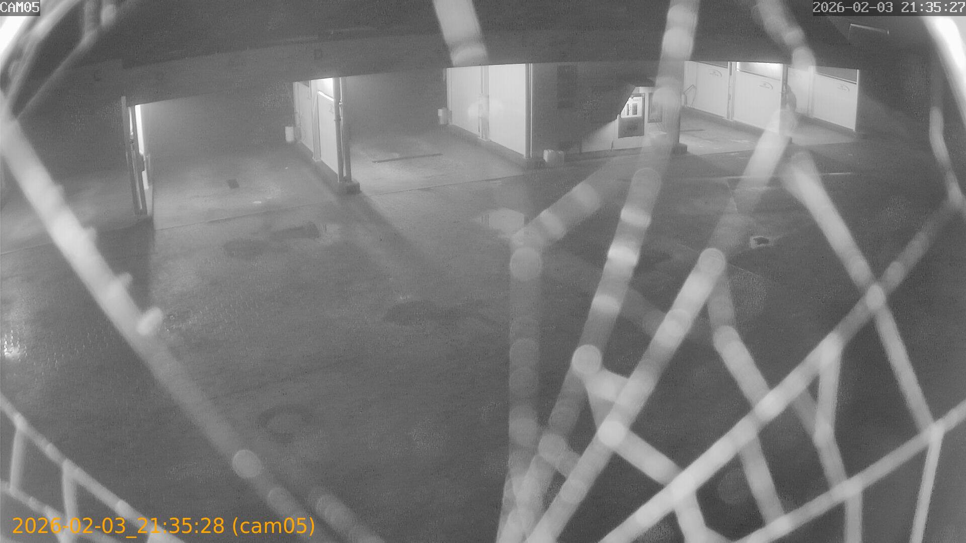 thumbnail_20260203213528