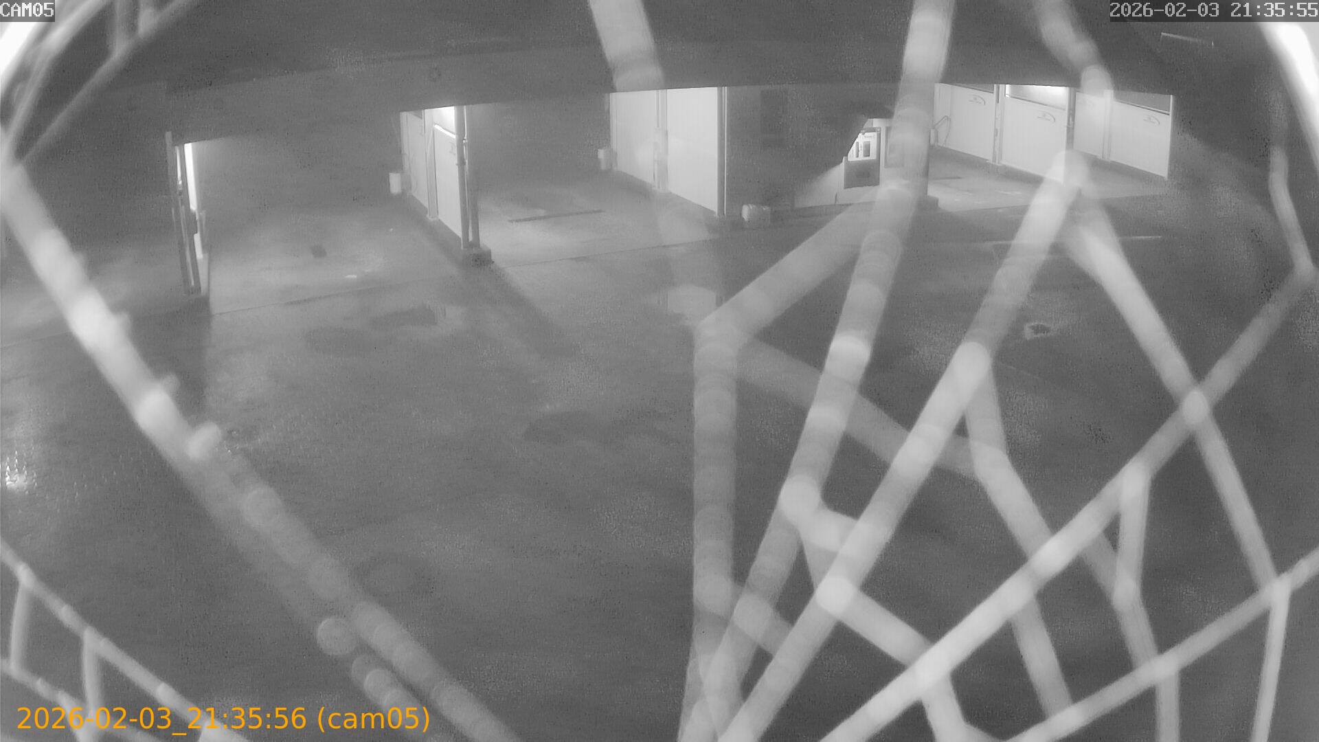 thumbnail_20260203213556