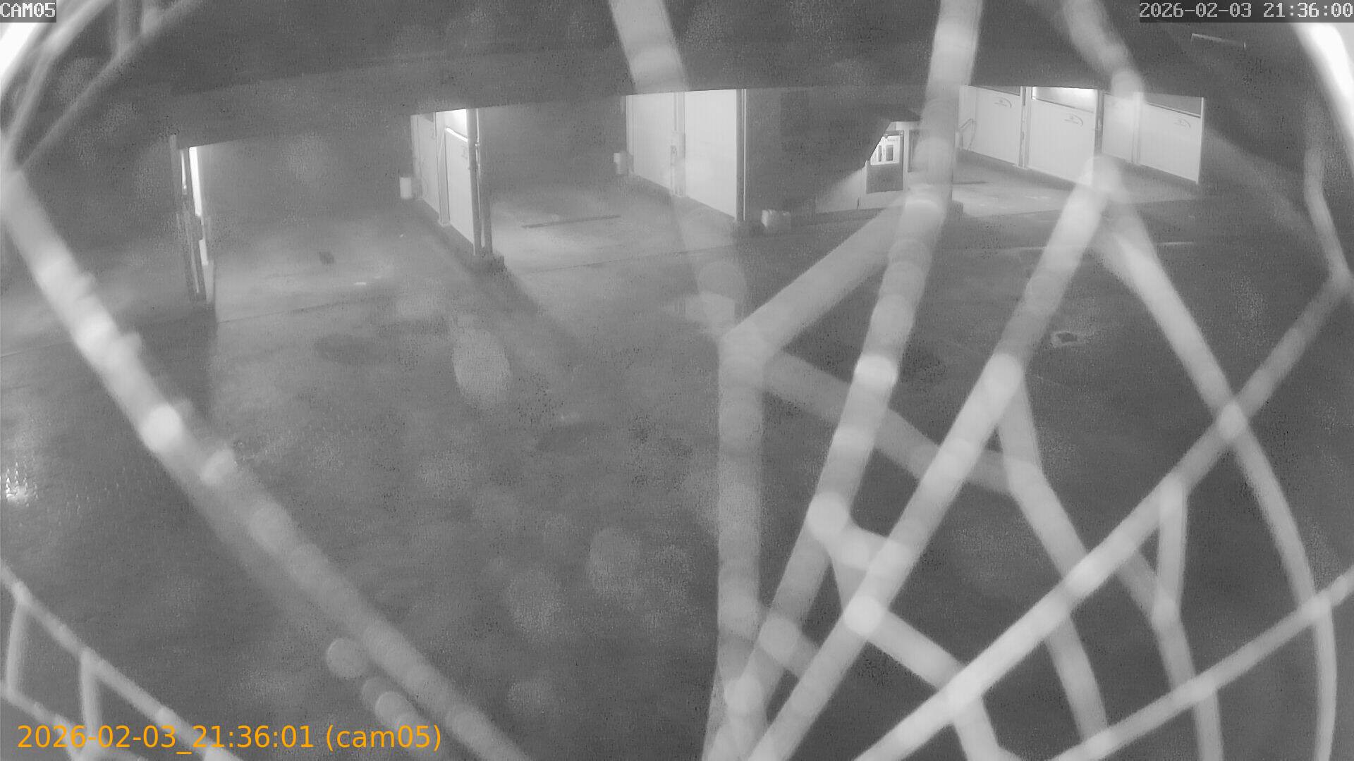 thumbnail_20260203213601