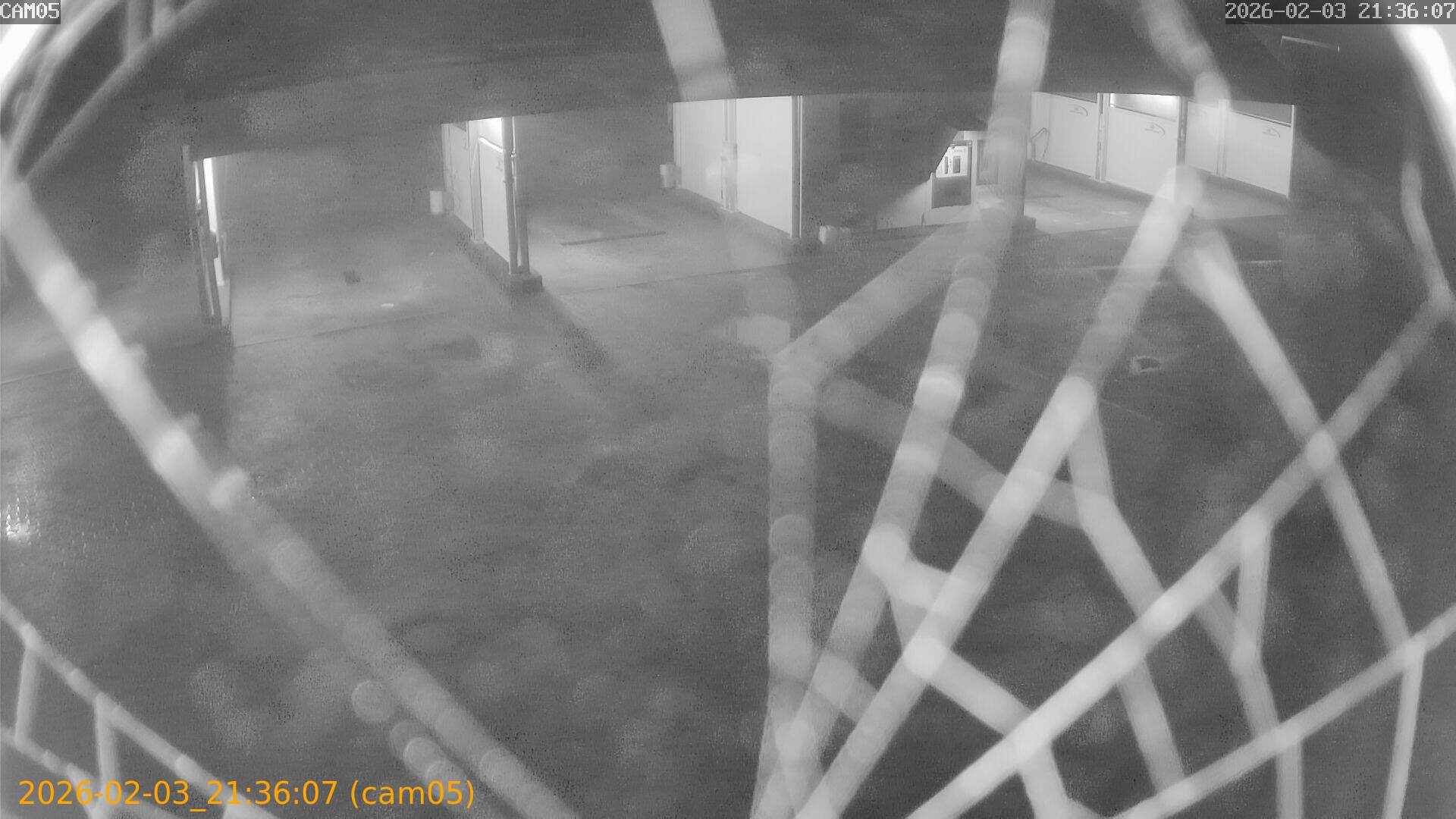 thumbnail_20260203213607