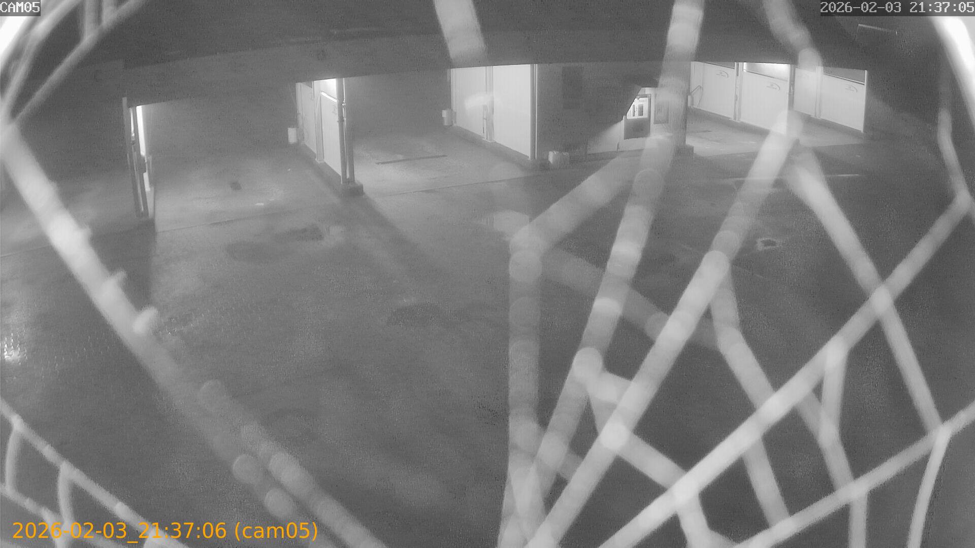 thumbnail_20260203213706