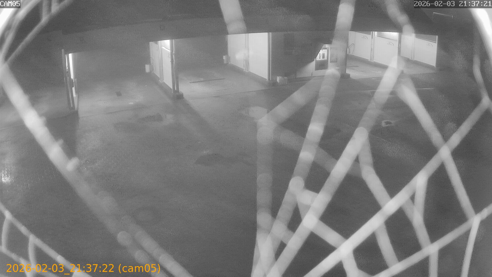 thumbnail_20260203213722