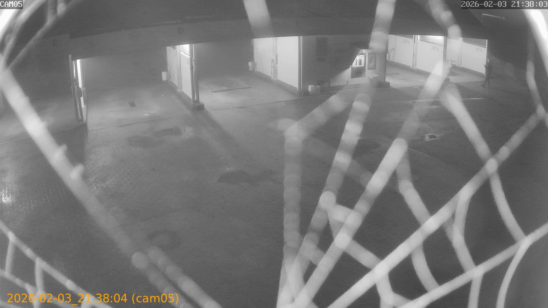 thumbnail_20260203213804