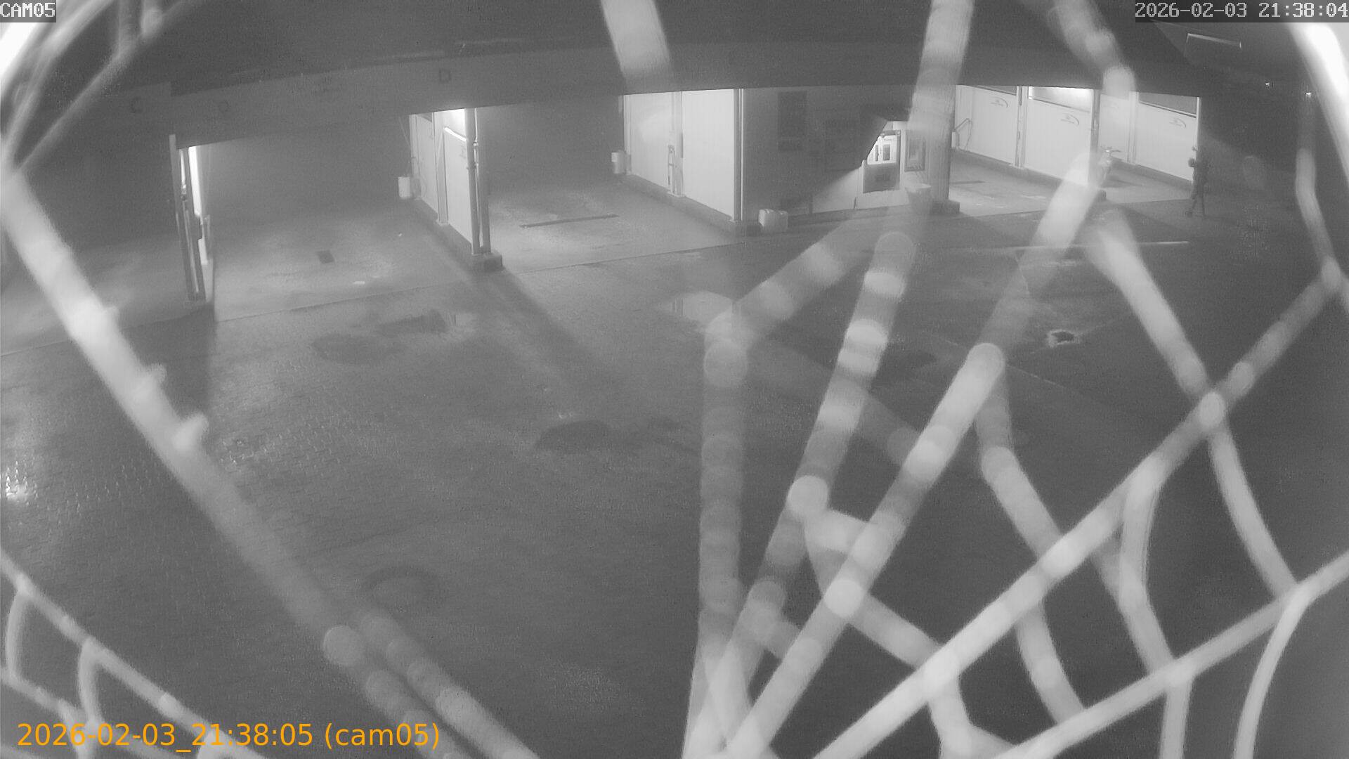 thumbnail_20260203213805