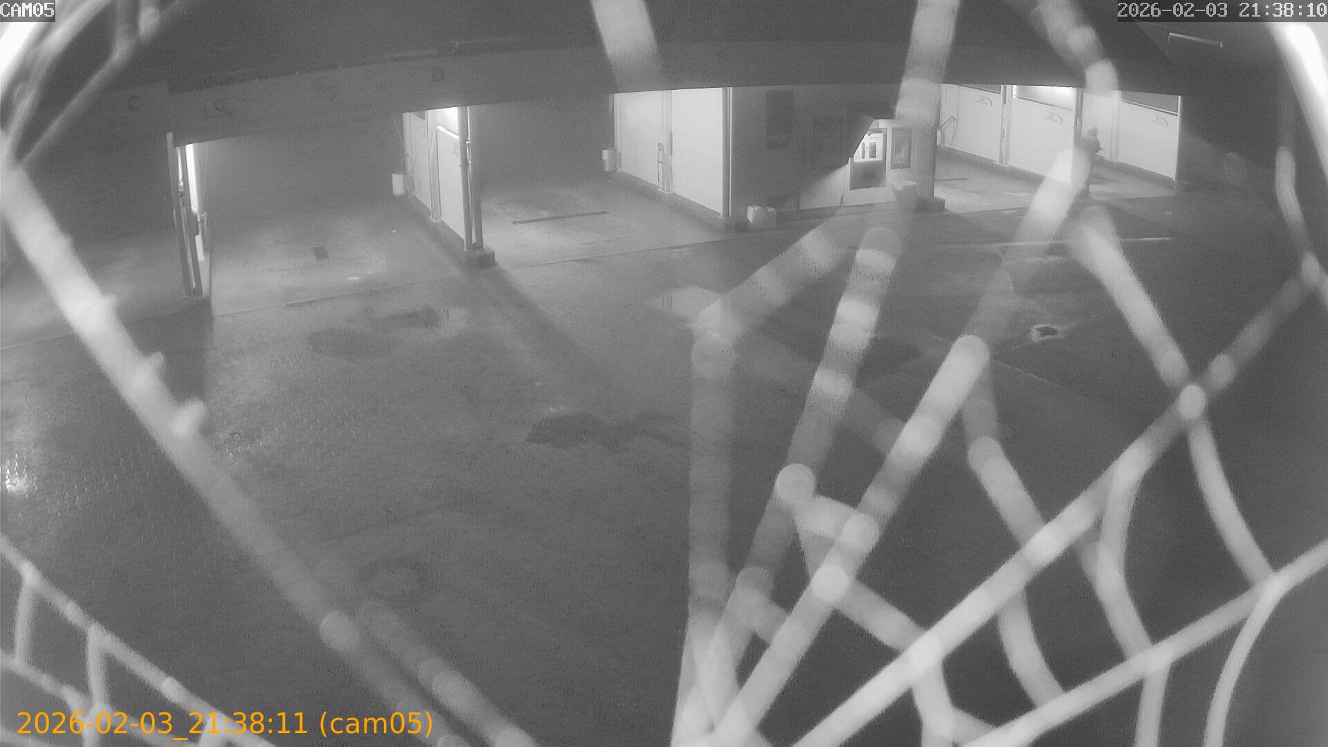 thumbnail_20260203213811