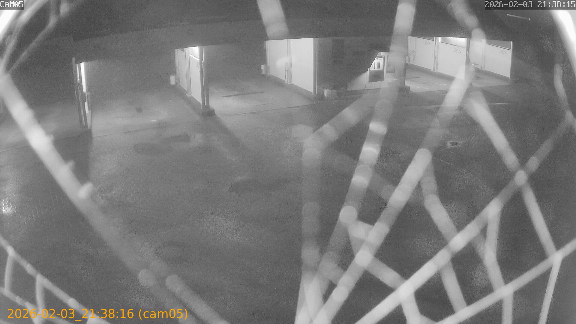 thumbnail_20260203213816