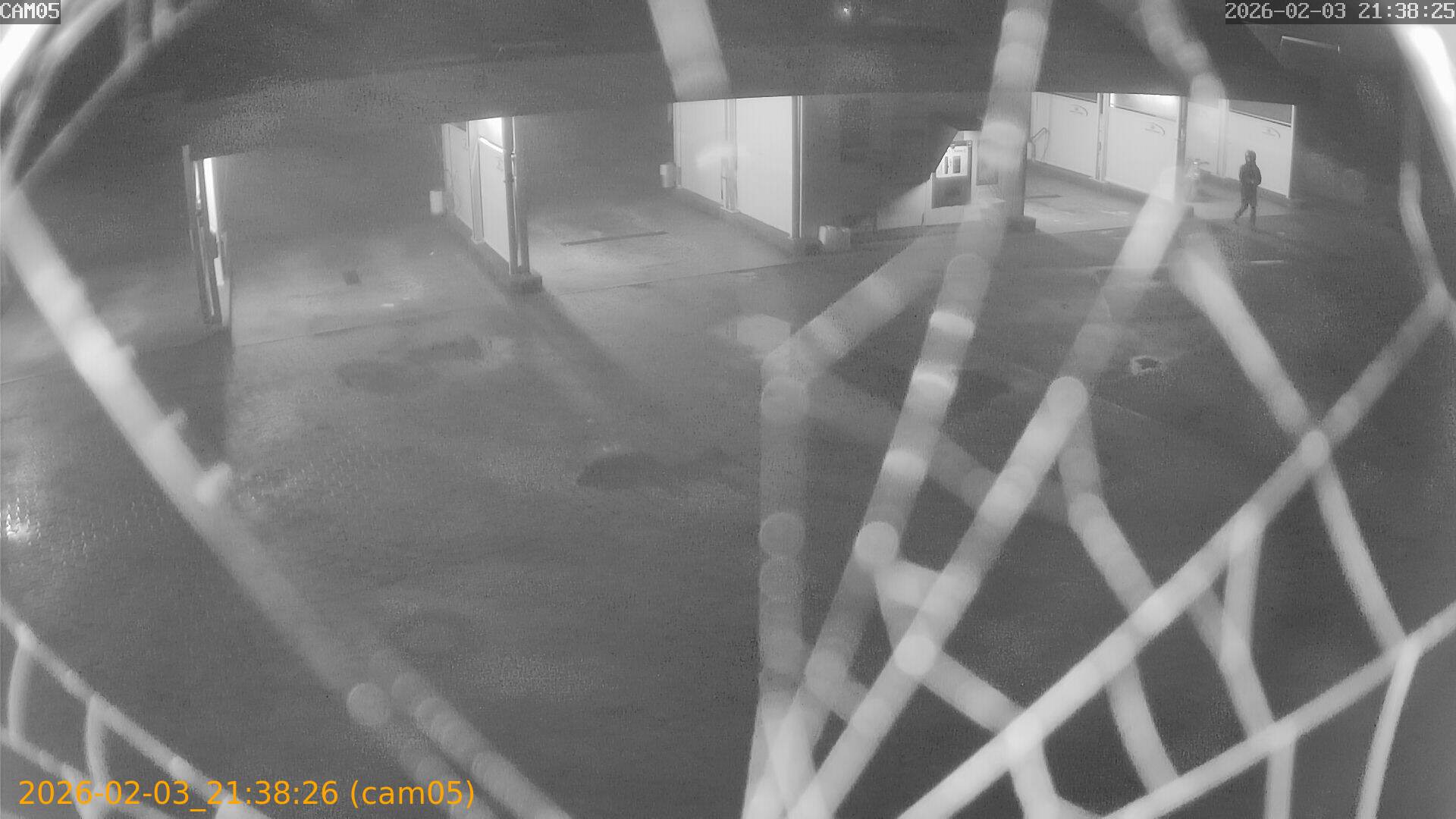 thumbnail_20260203213826