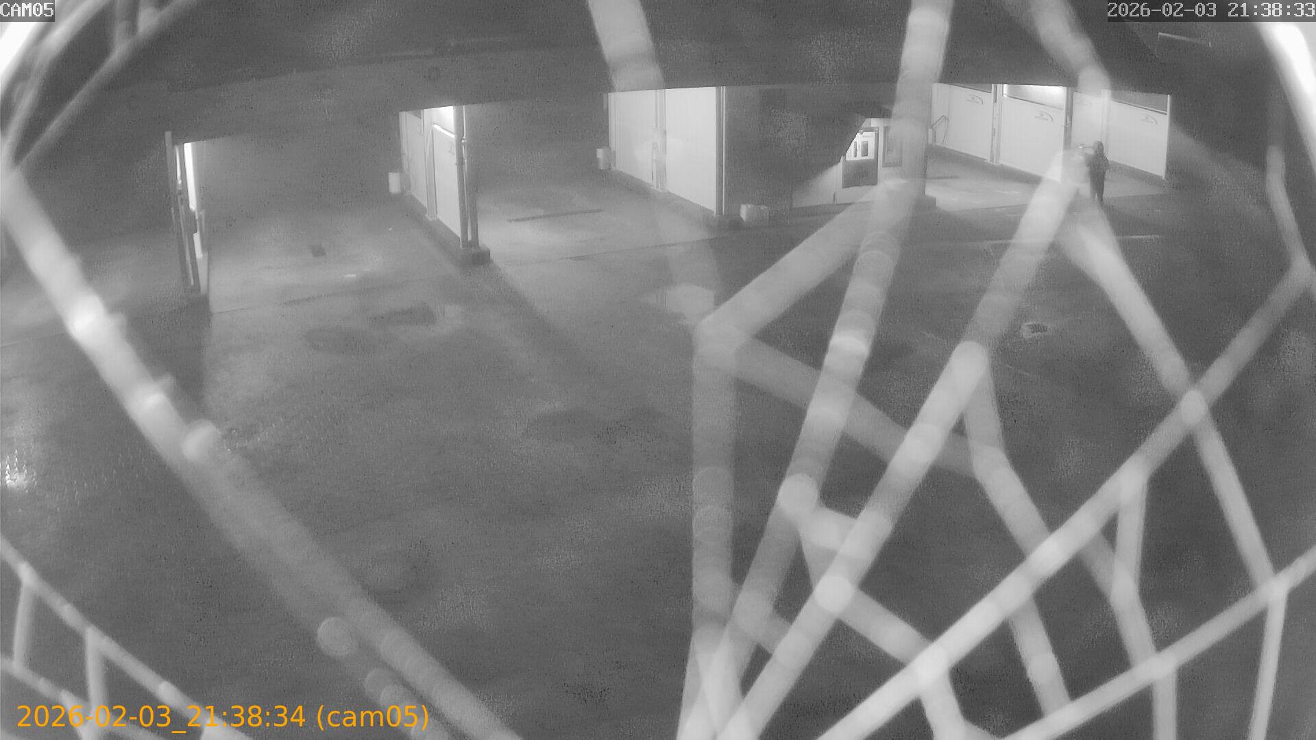 thumbnail_20260203213834