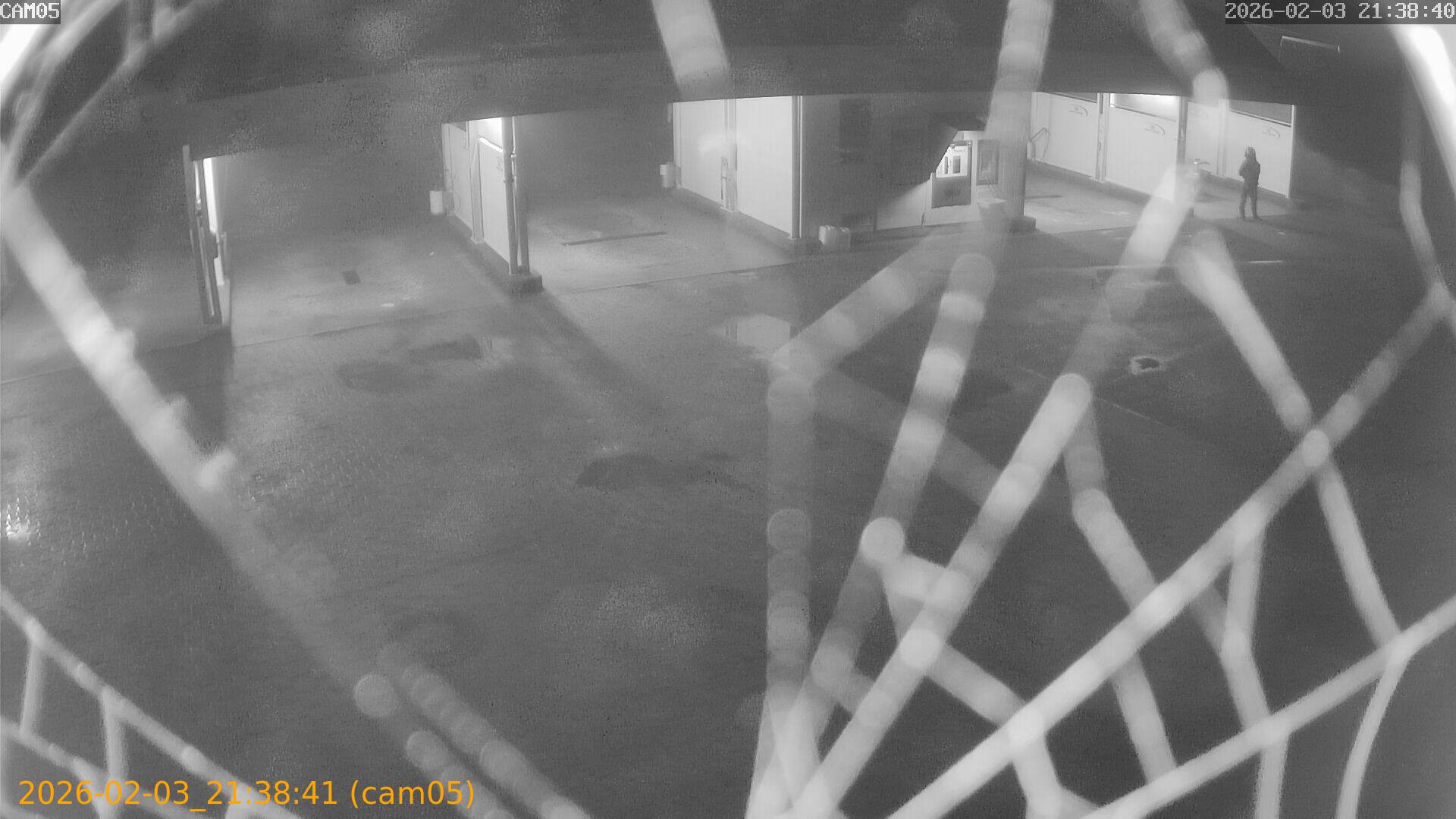 thumbnail_20260203213841