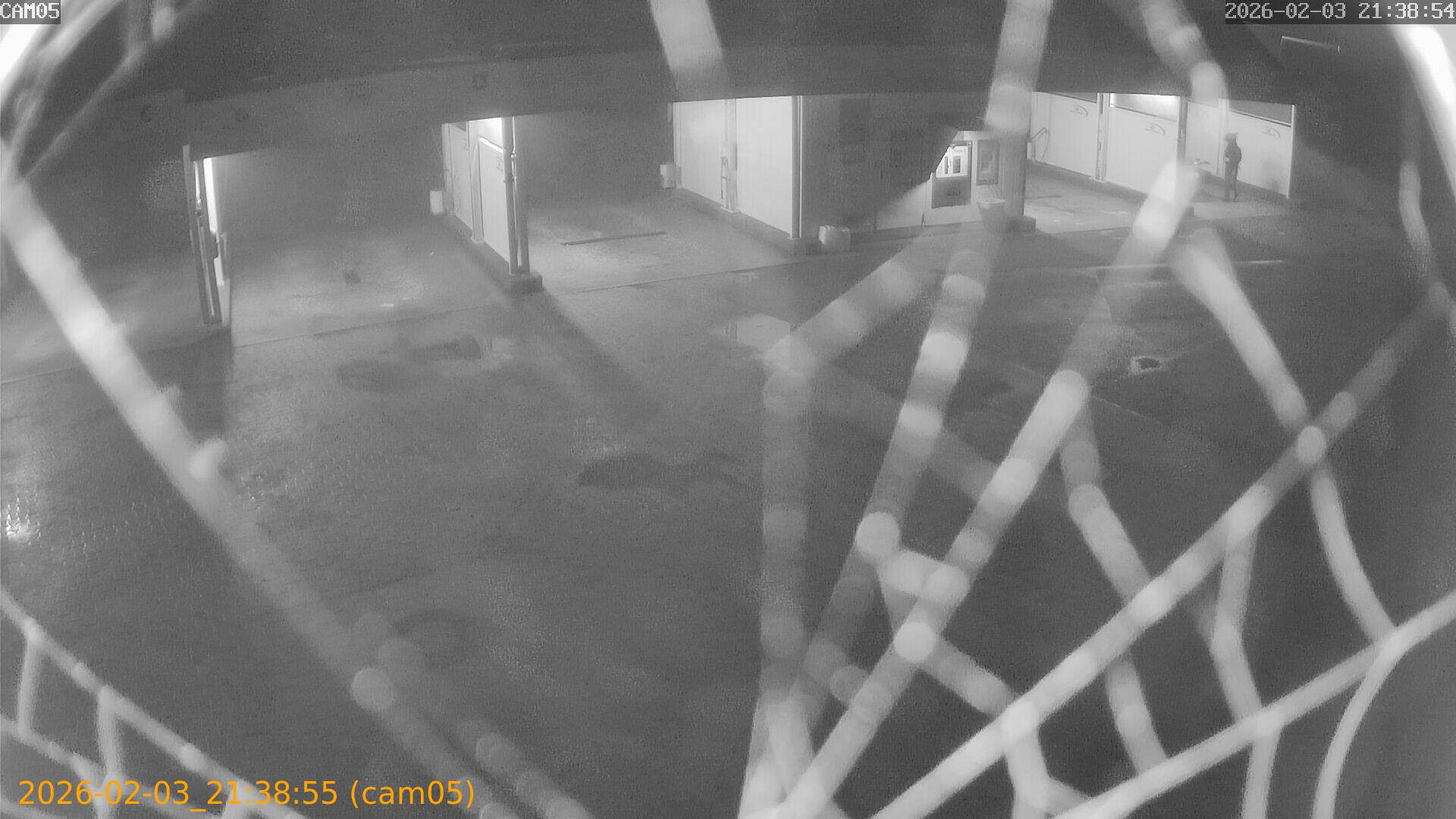 thumbnail_20260203213855