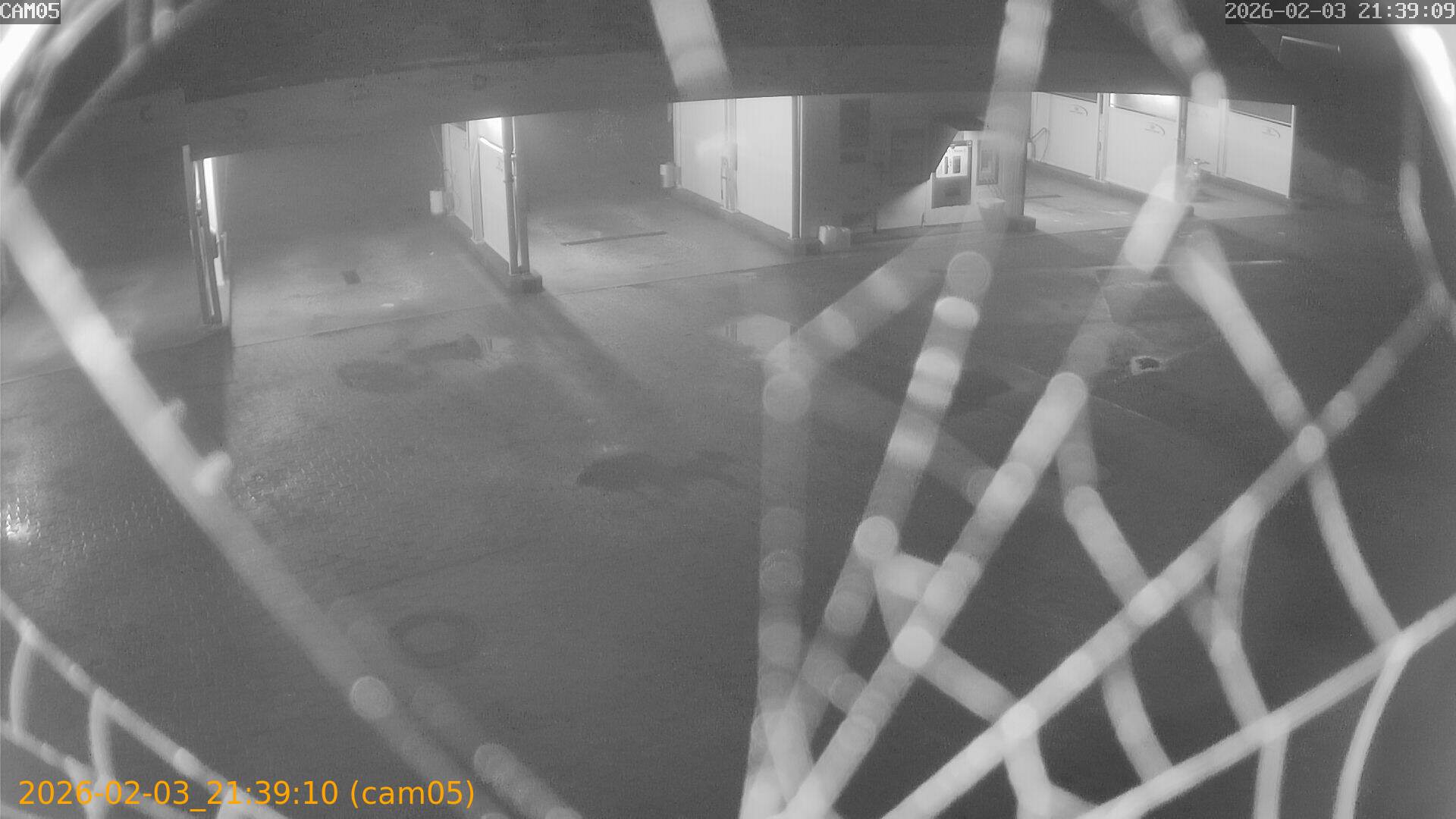 thumbnail_20260203213910