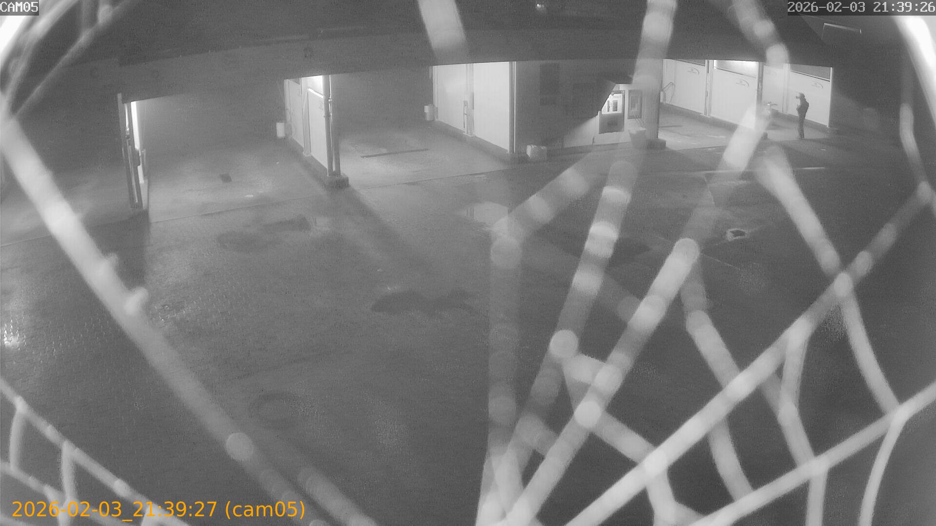 thumbnail_20260203213927