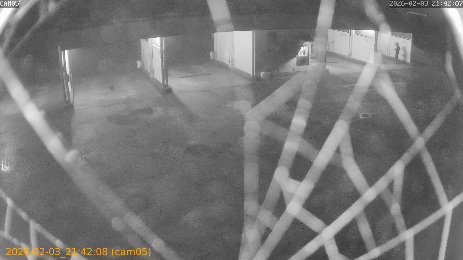 thumbnail_20260203214208