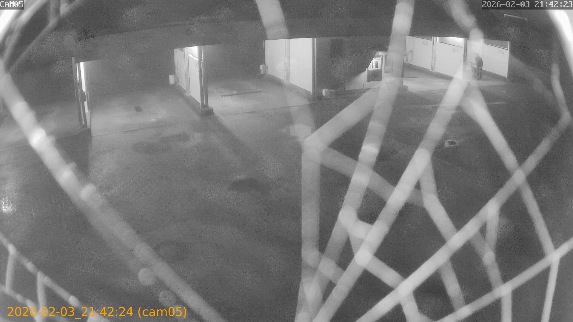 thumbnail_20260203214224