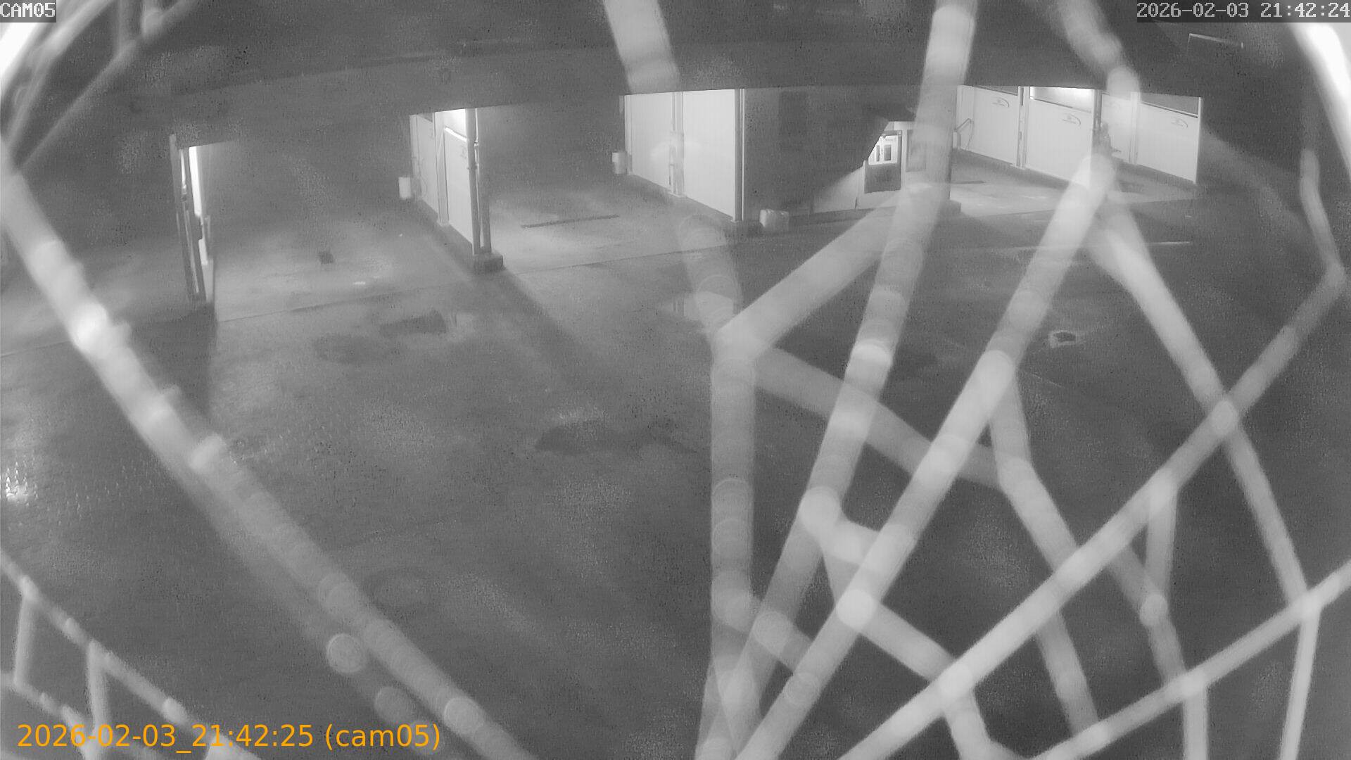 thumbnail_20260203214225