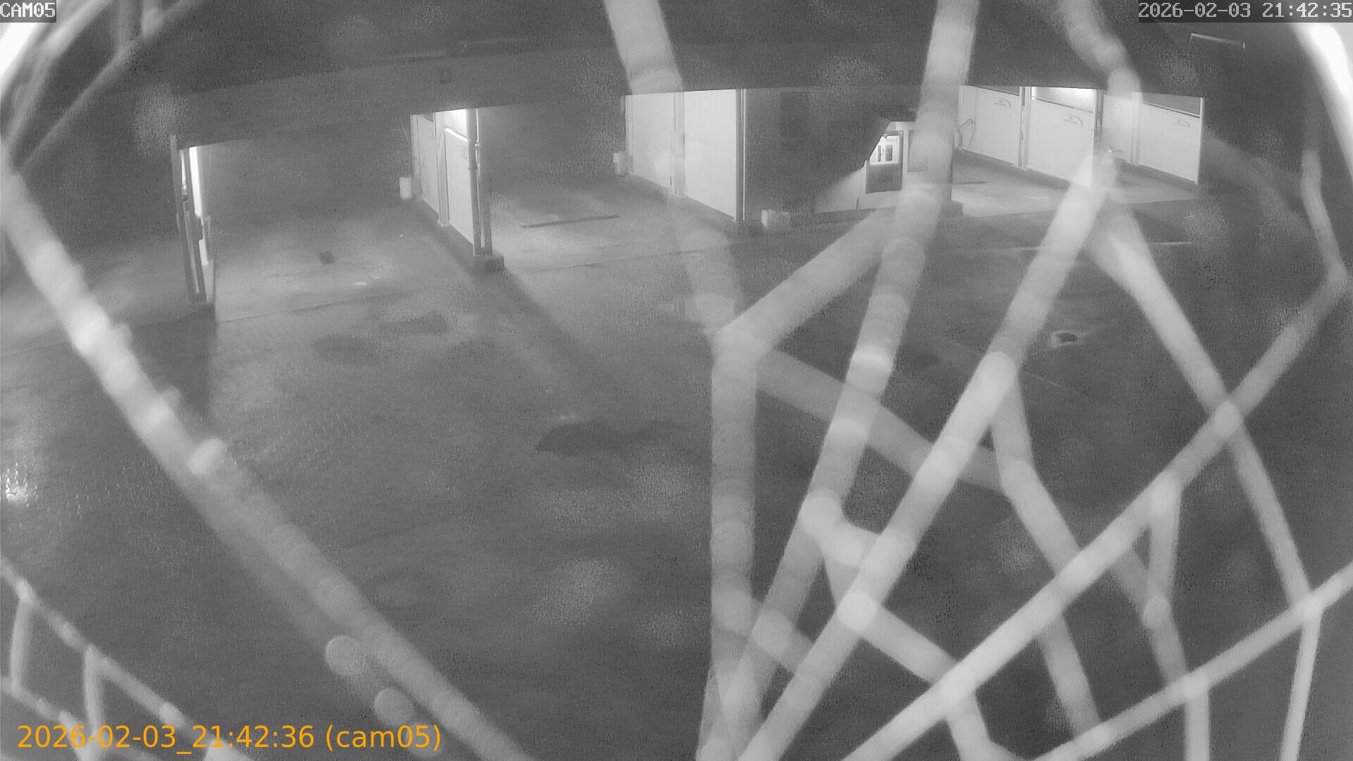 thumbnail_20260203214236