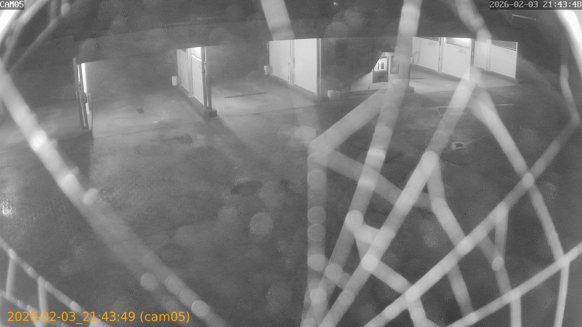 thumbnail_20260203214349