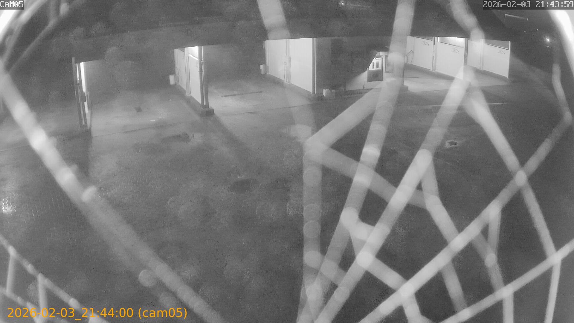 thumbnail_20260203214400