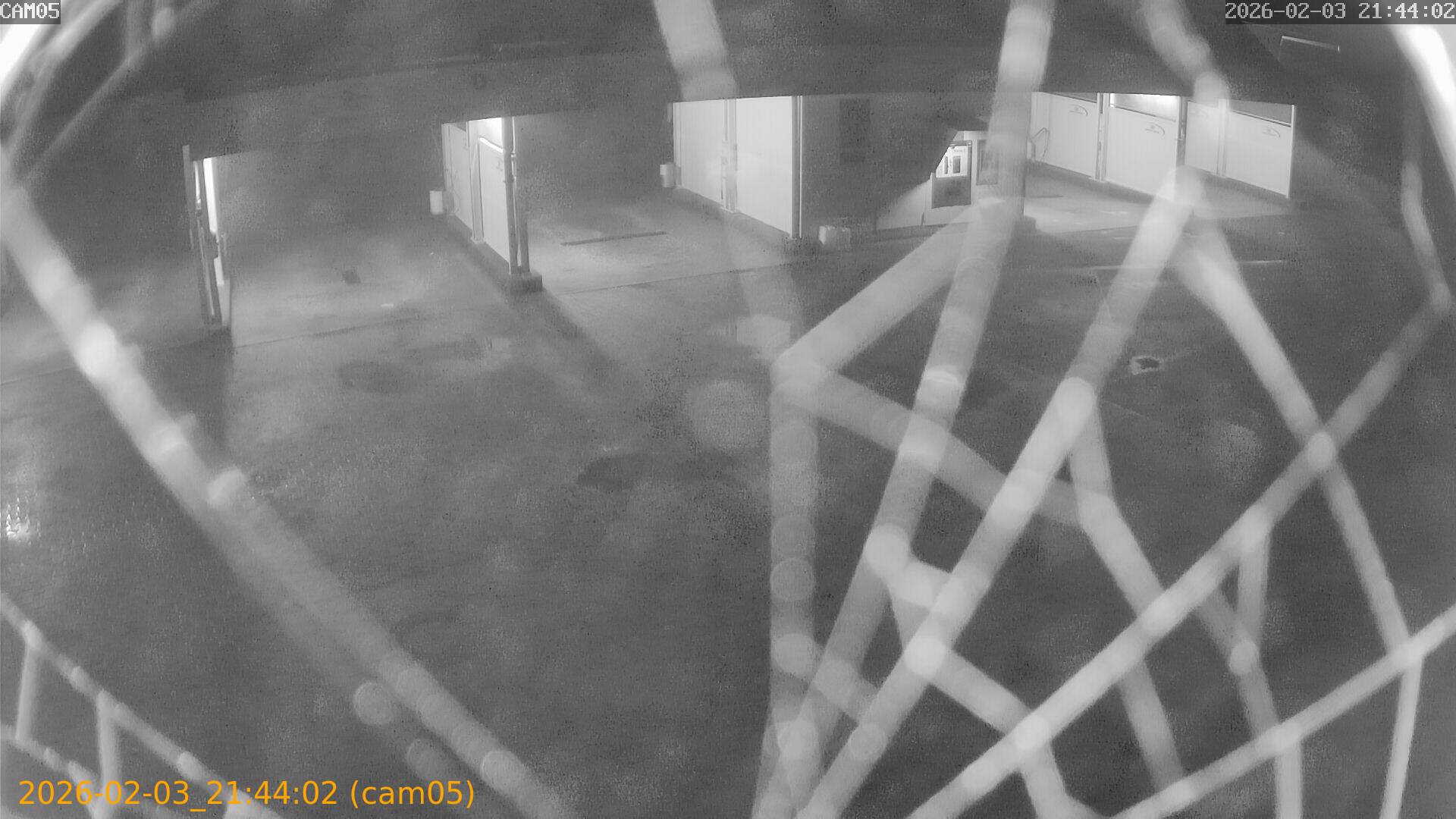 thumbnail_20260203214402