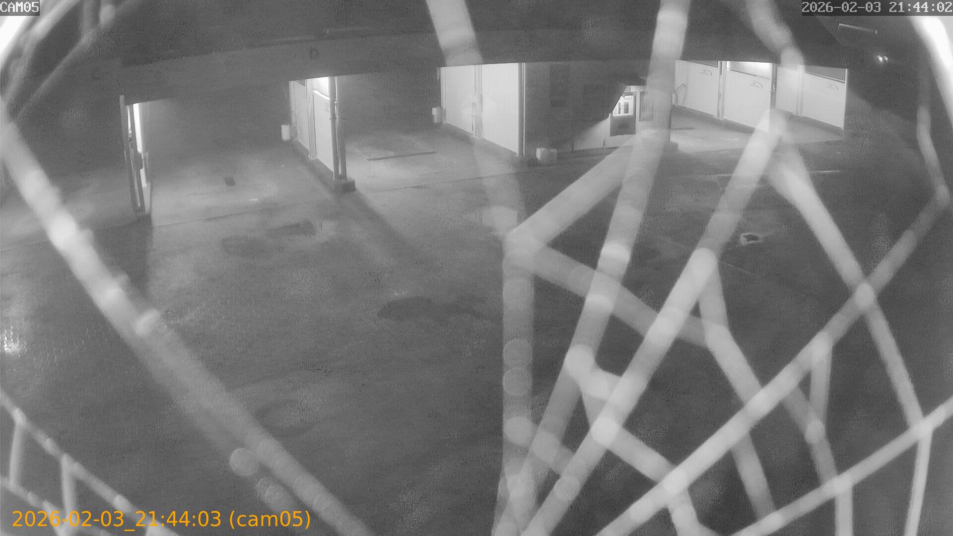 thumbnail_20260203214403